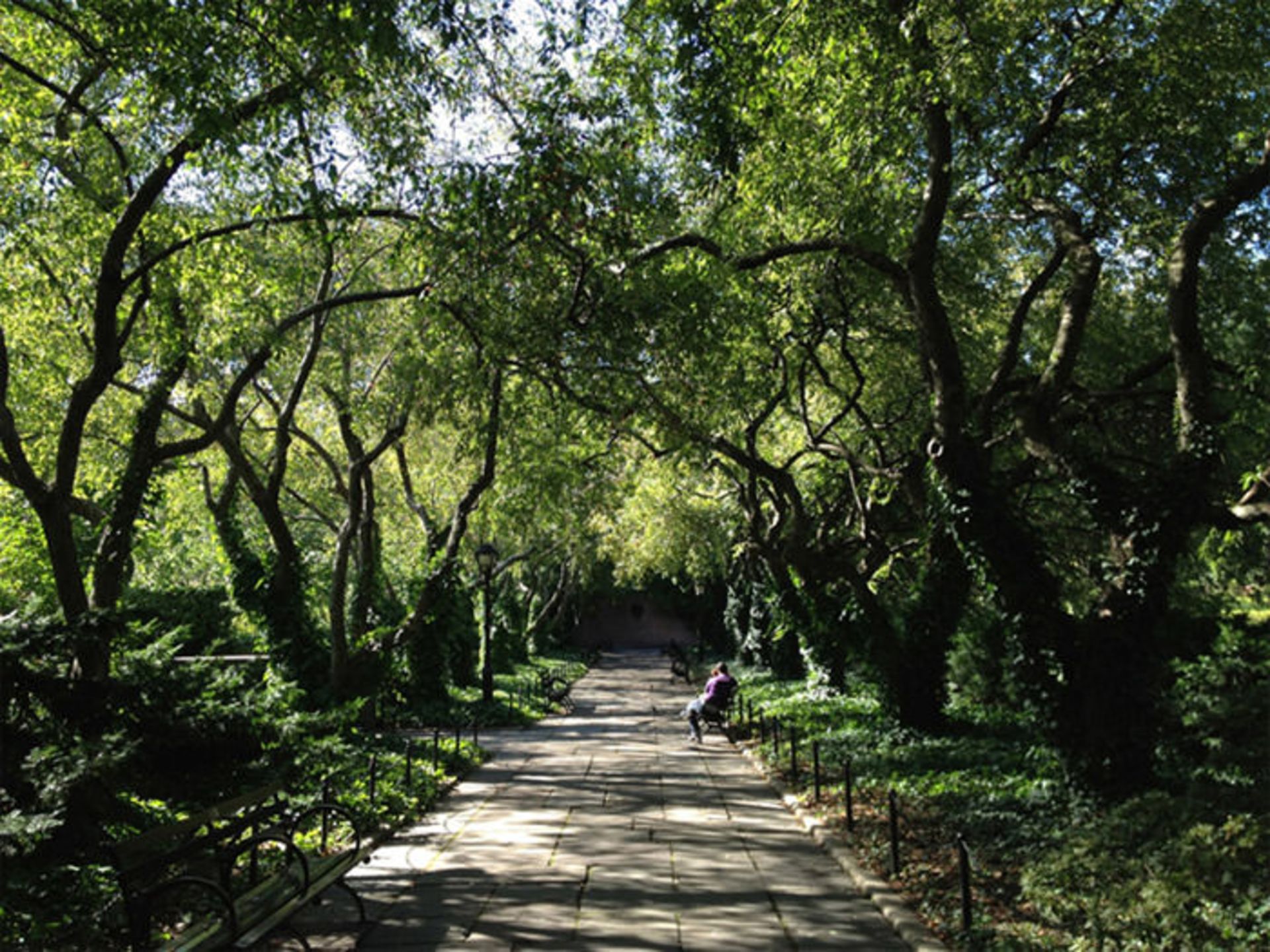 دیدنی‌های سنترال پارک نیویورک