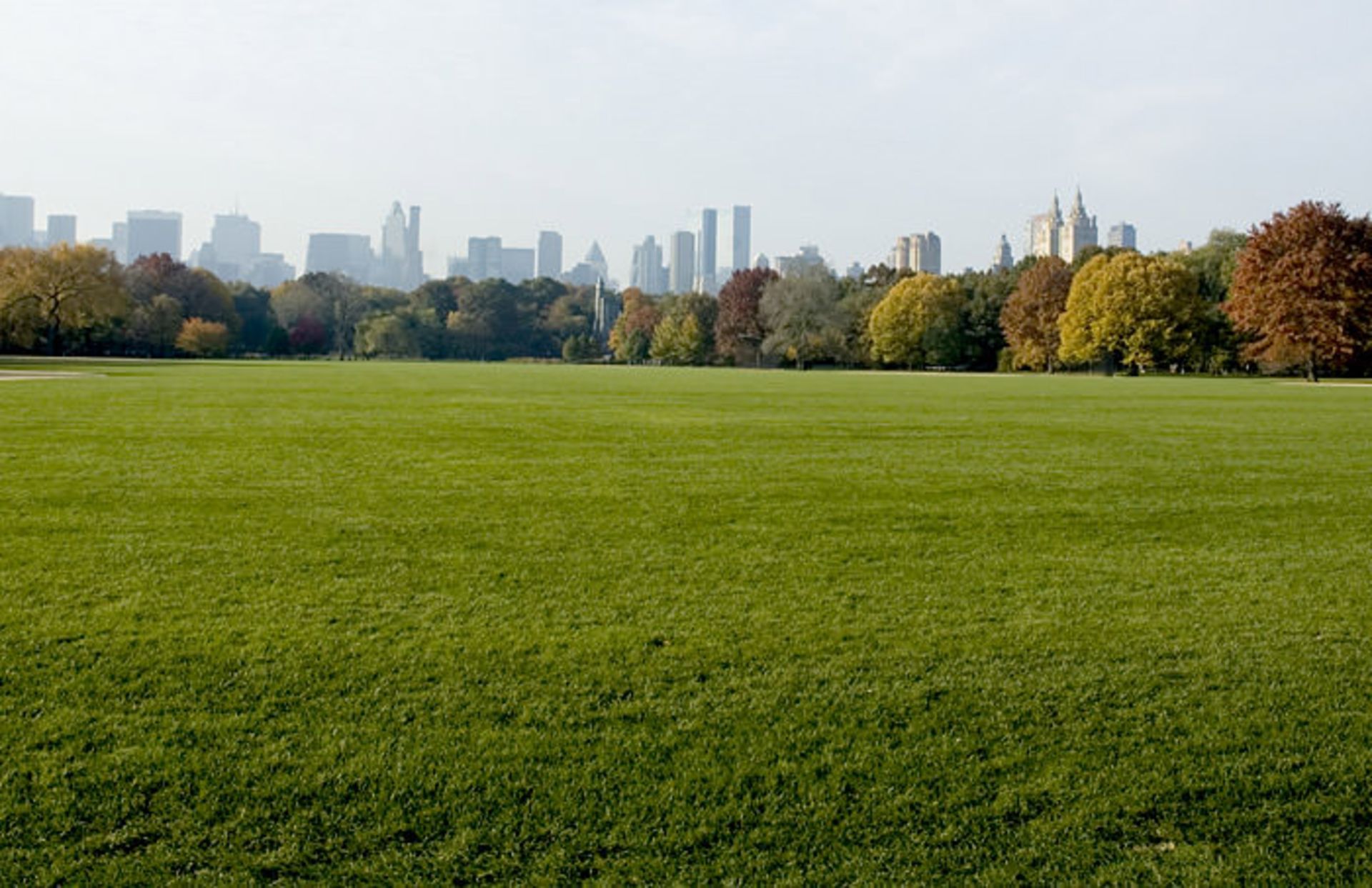 دیدنی‌های سنترال پارک نیویورک