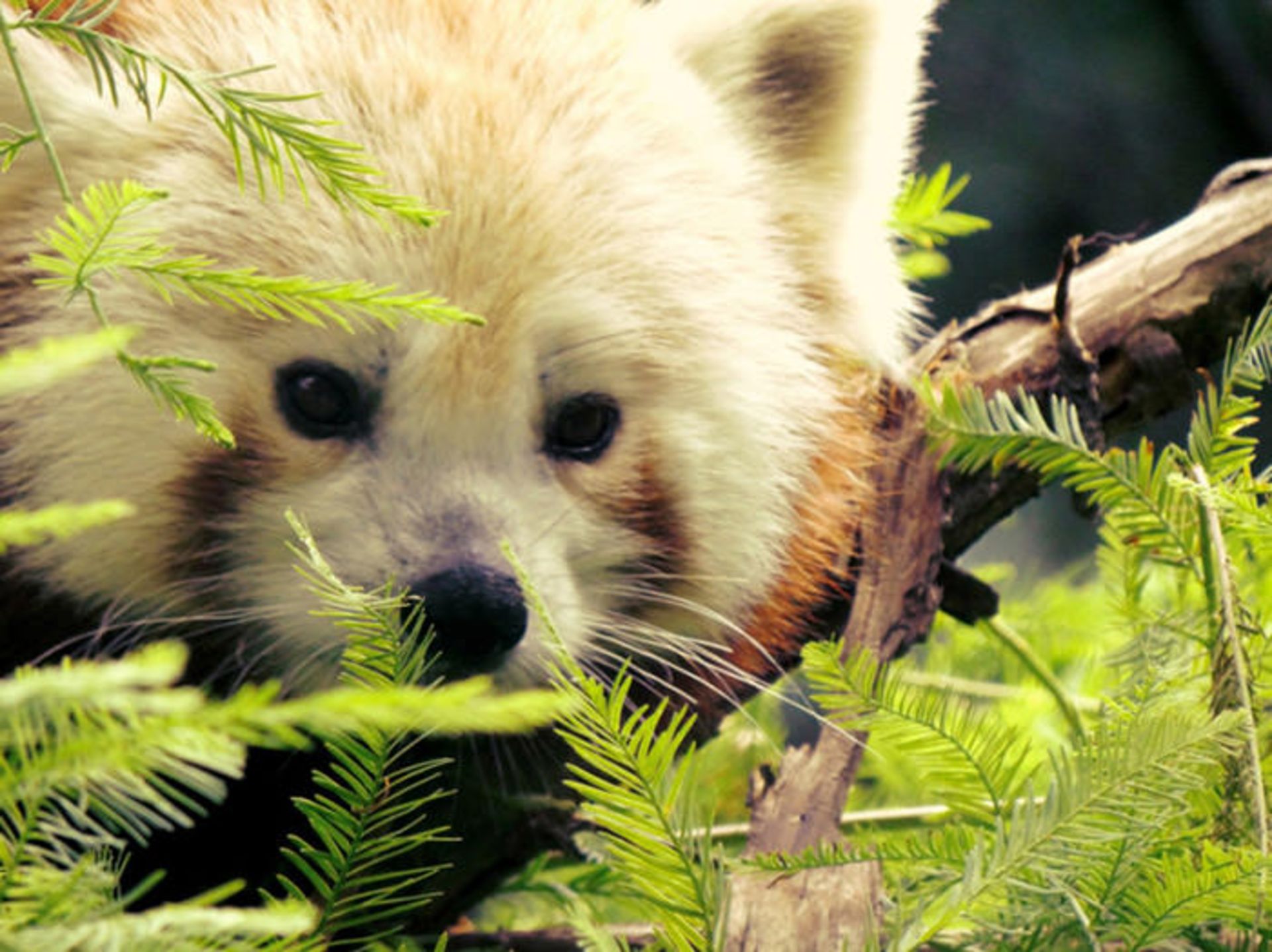 دیدنی‌های سنترال پارک نیویورک