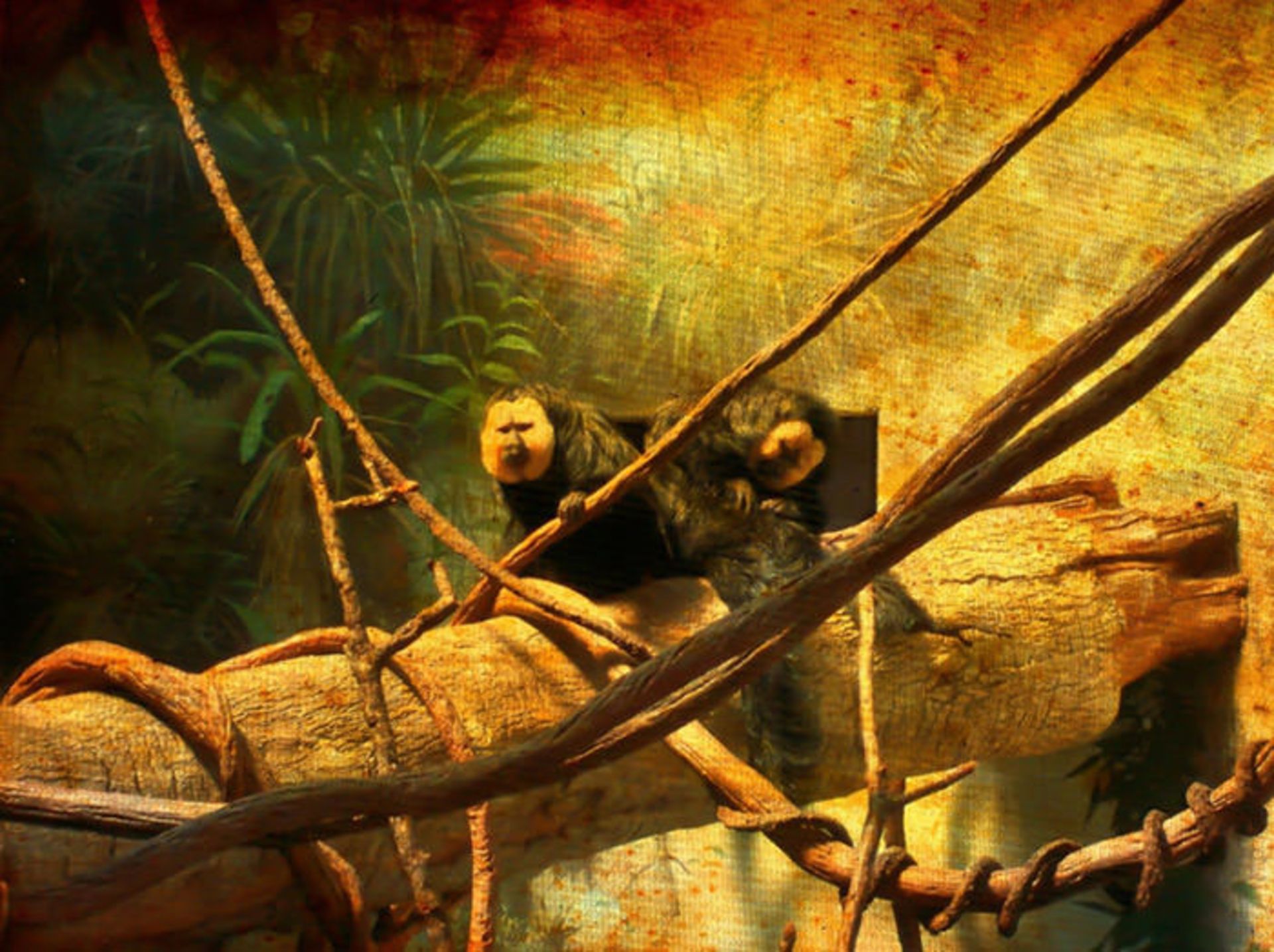 دیدنی‌های سنترال پارک نیویورک