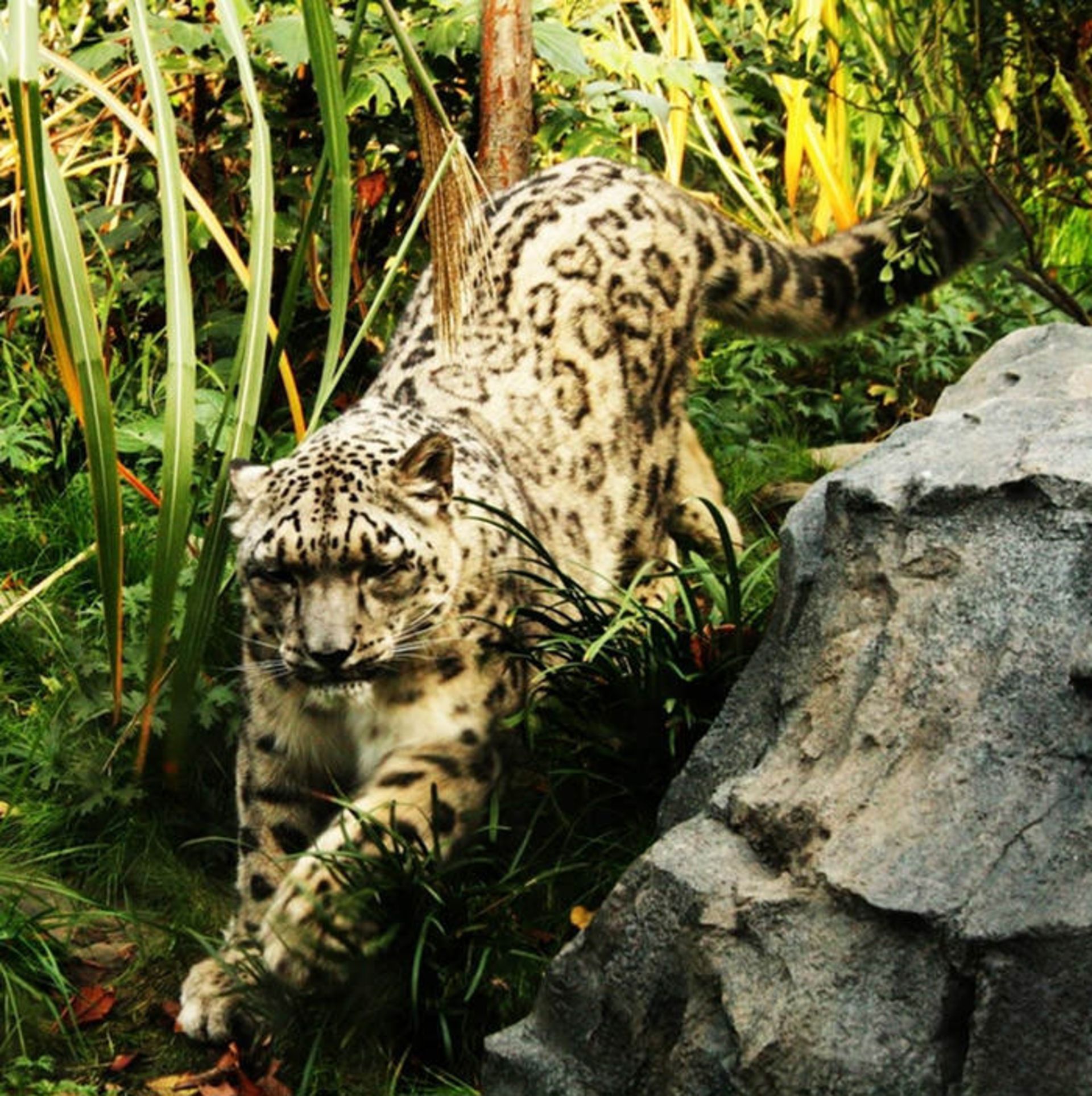 دیدنی‌های سنترال پارک نیویورک