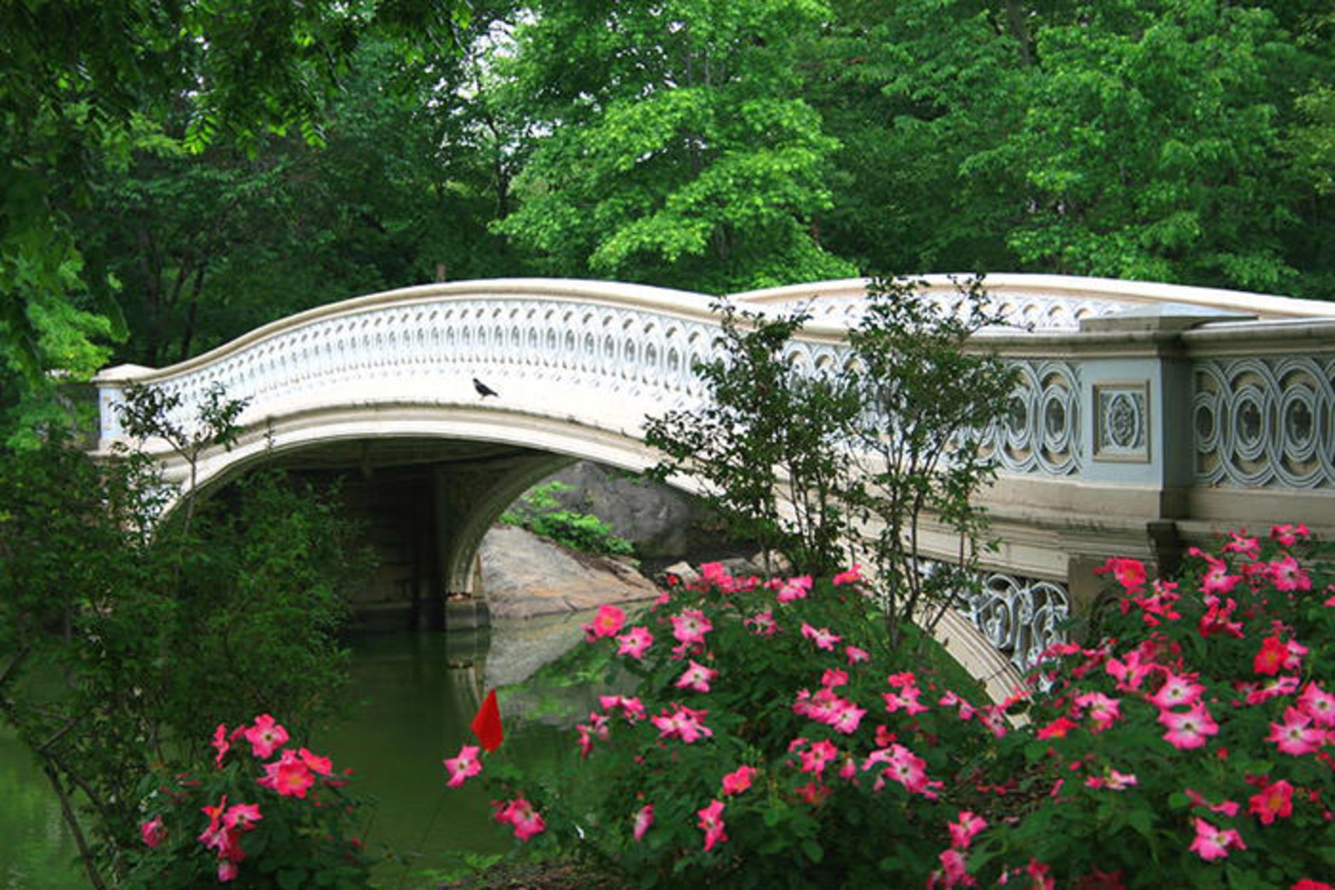 دیدنی‌های سنترال پارک نیویورک