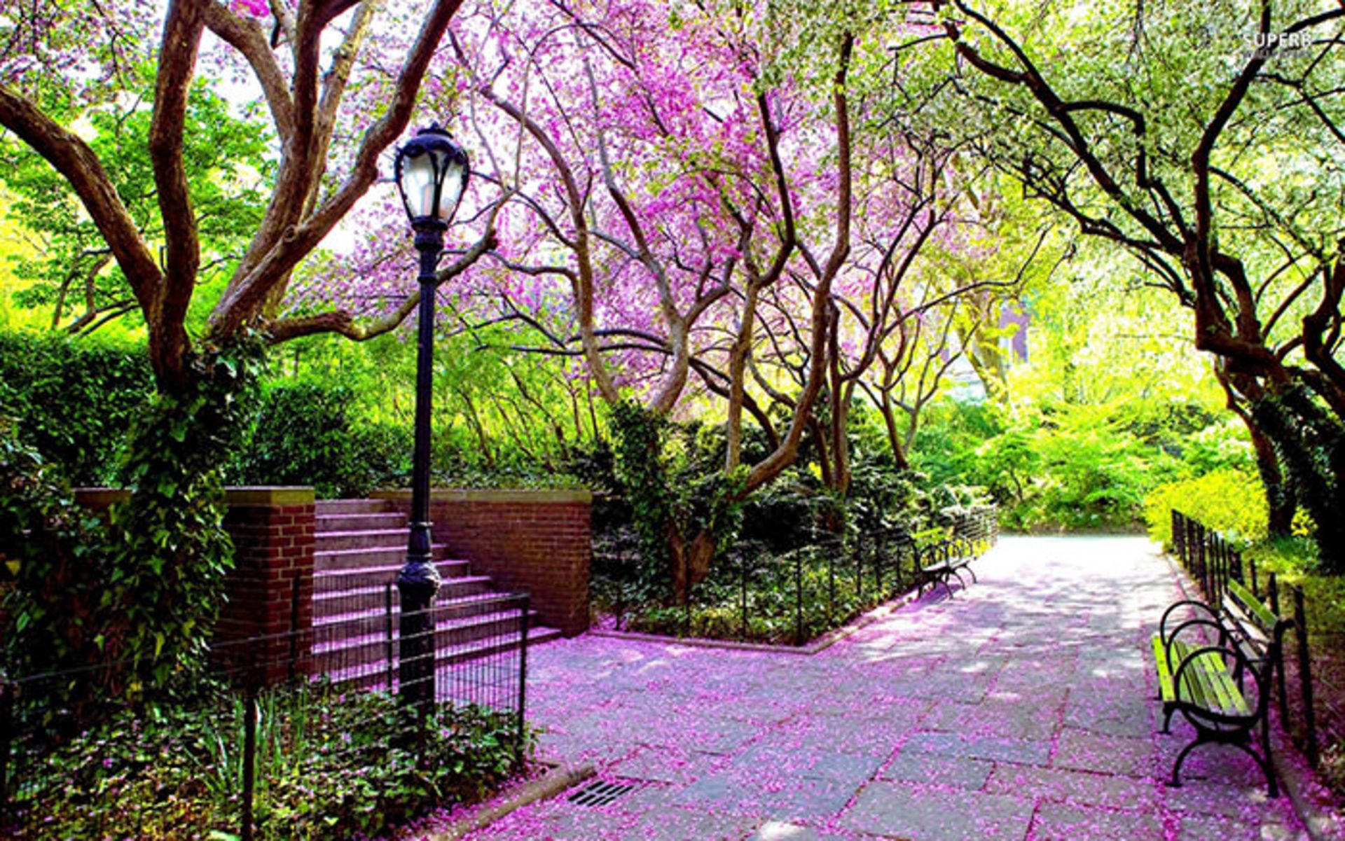 دیدنی‌های سنترال پارک نیویورک