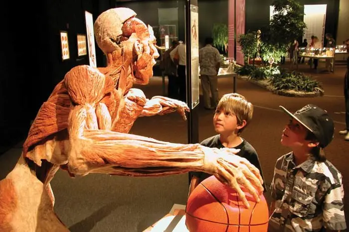 body-worlds