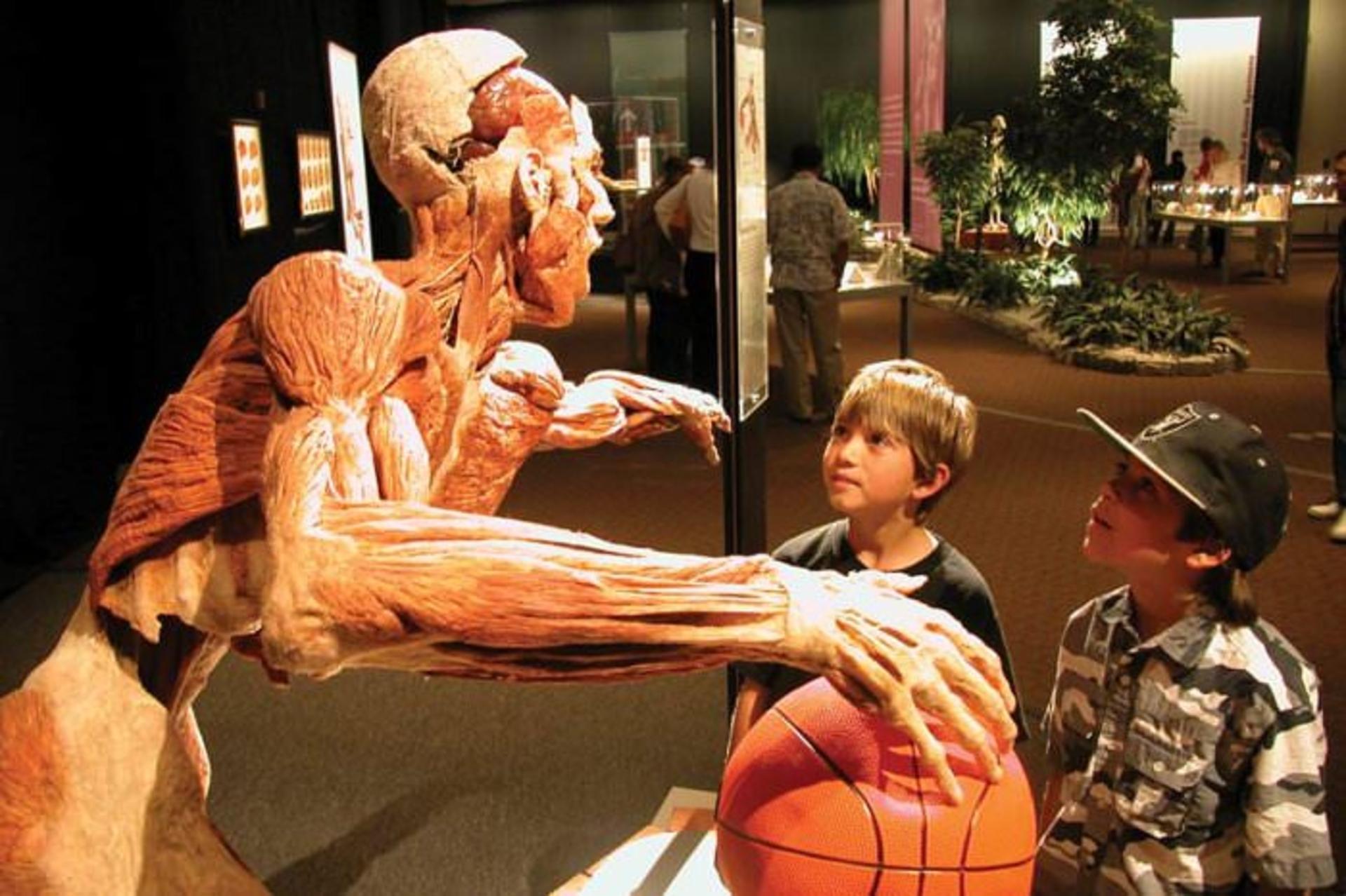 body-worlds