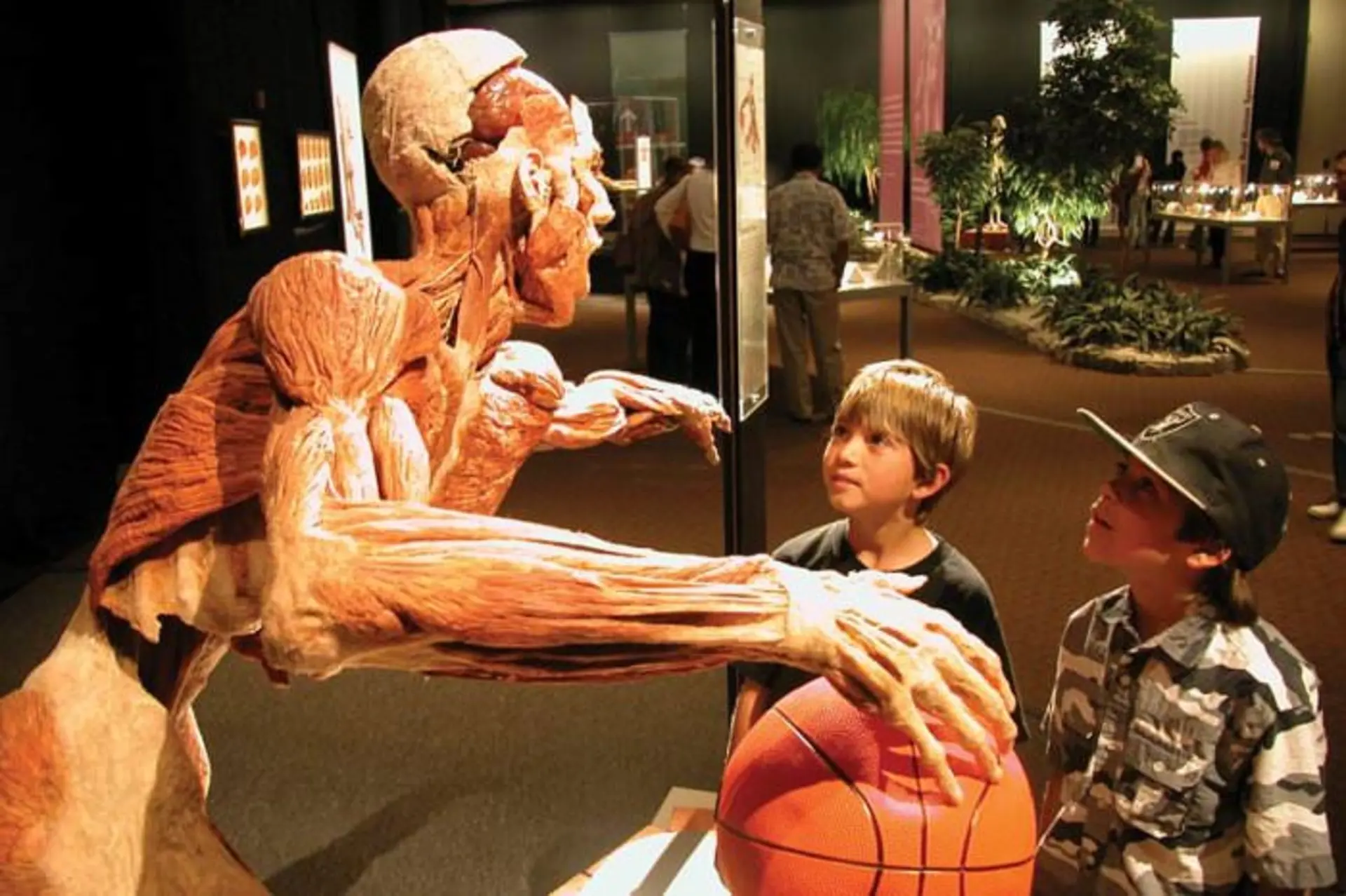 body-worlds