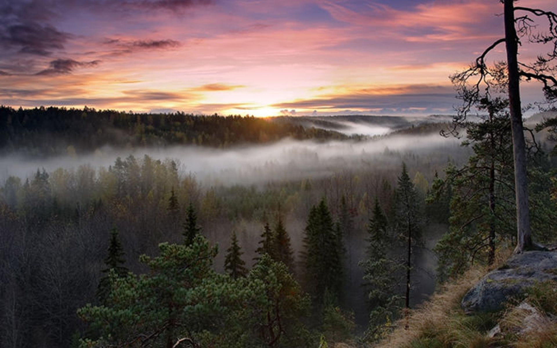 فنلاند انجماد زیبایی