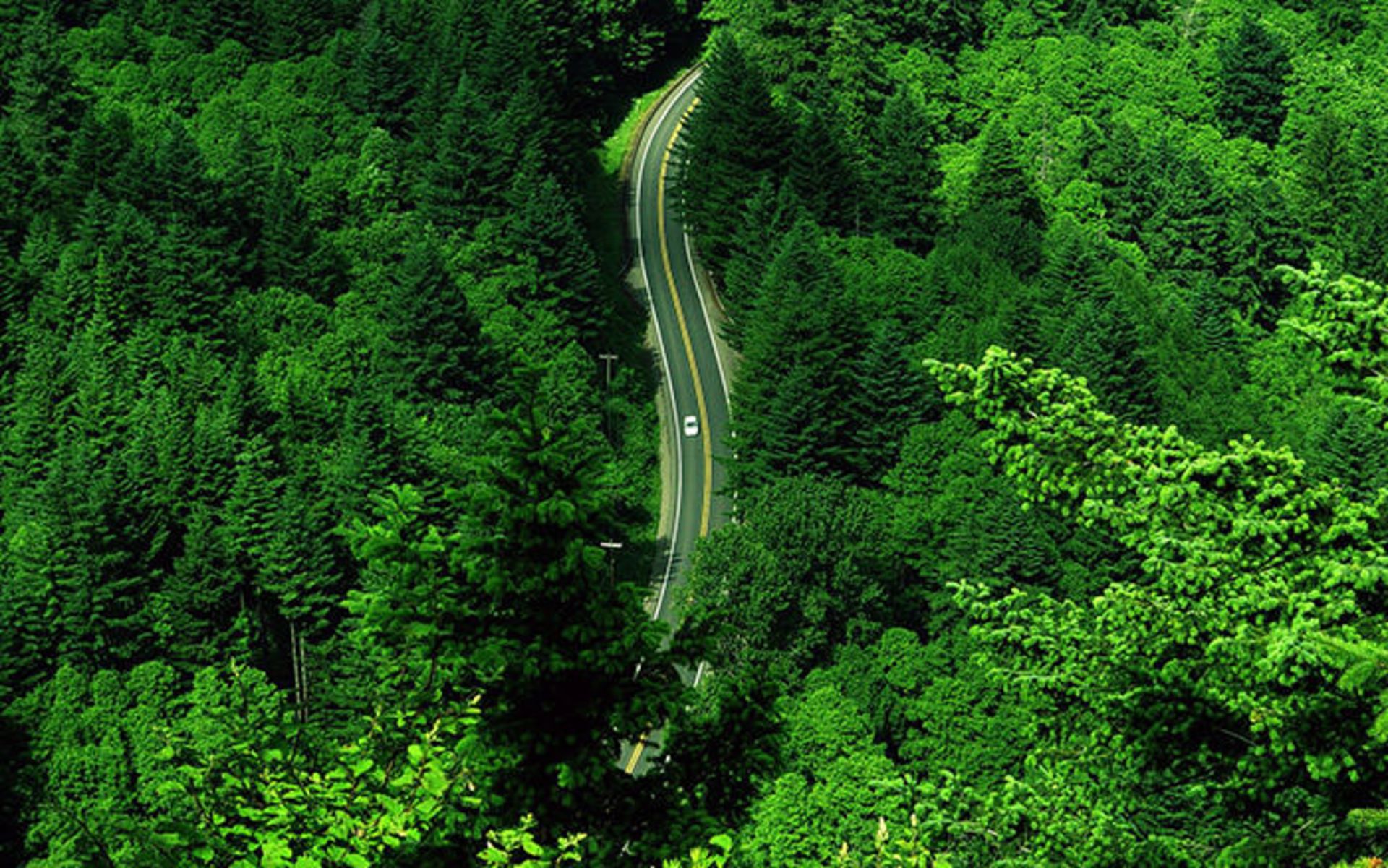 مسیرهای تماشایی