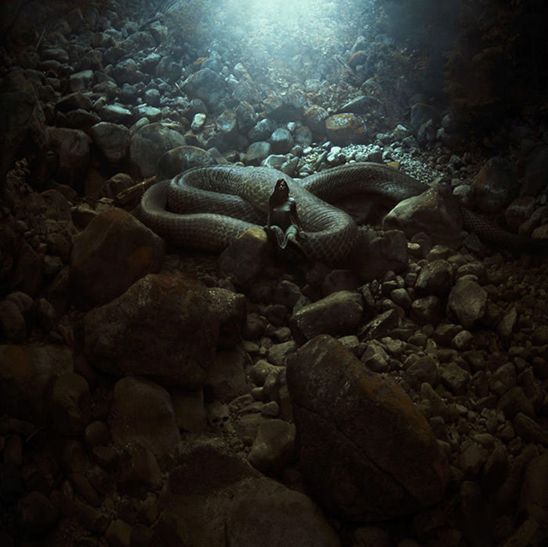 دنیاهای موازی در قاب تصویر