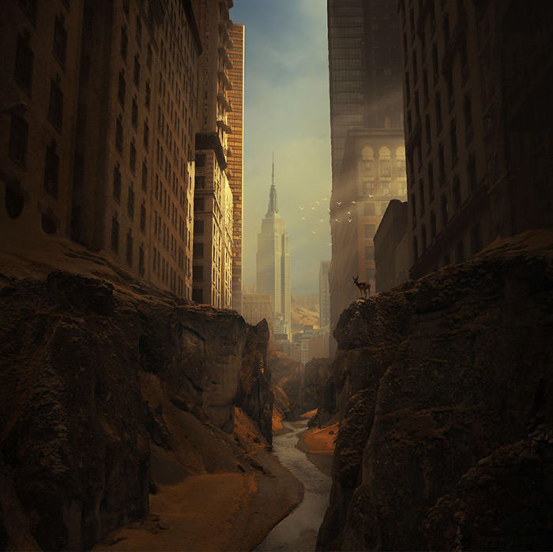 دنیاهای موازی در قاب تصویر