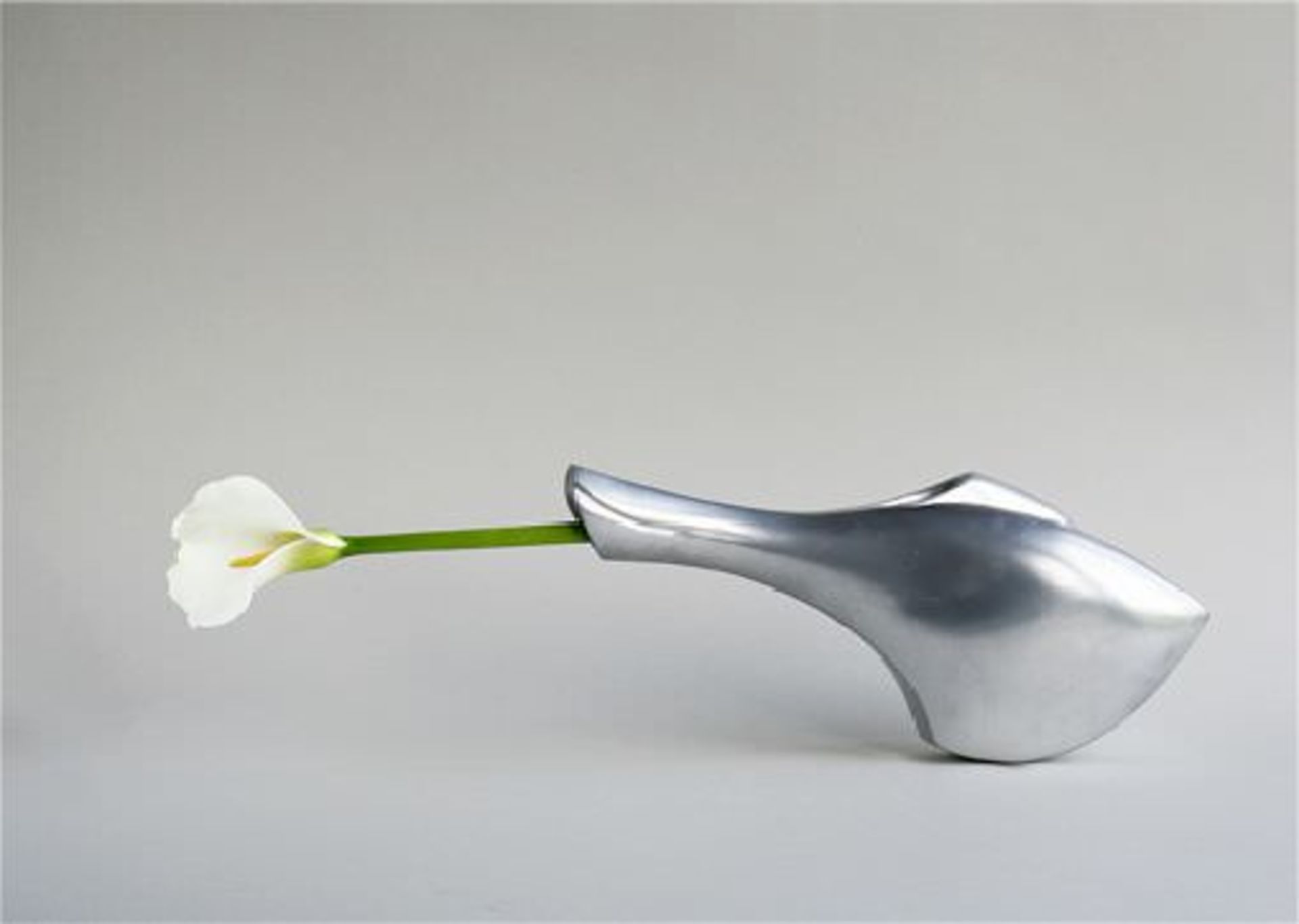 گلدانی با طراحی خلاقانه