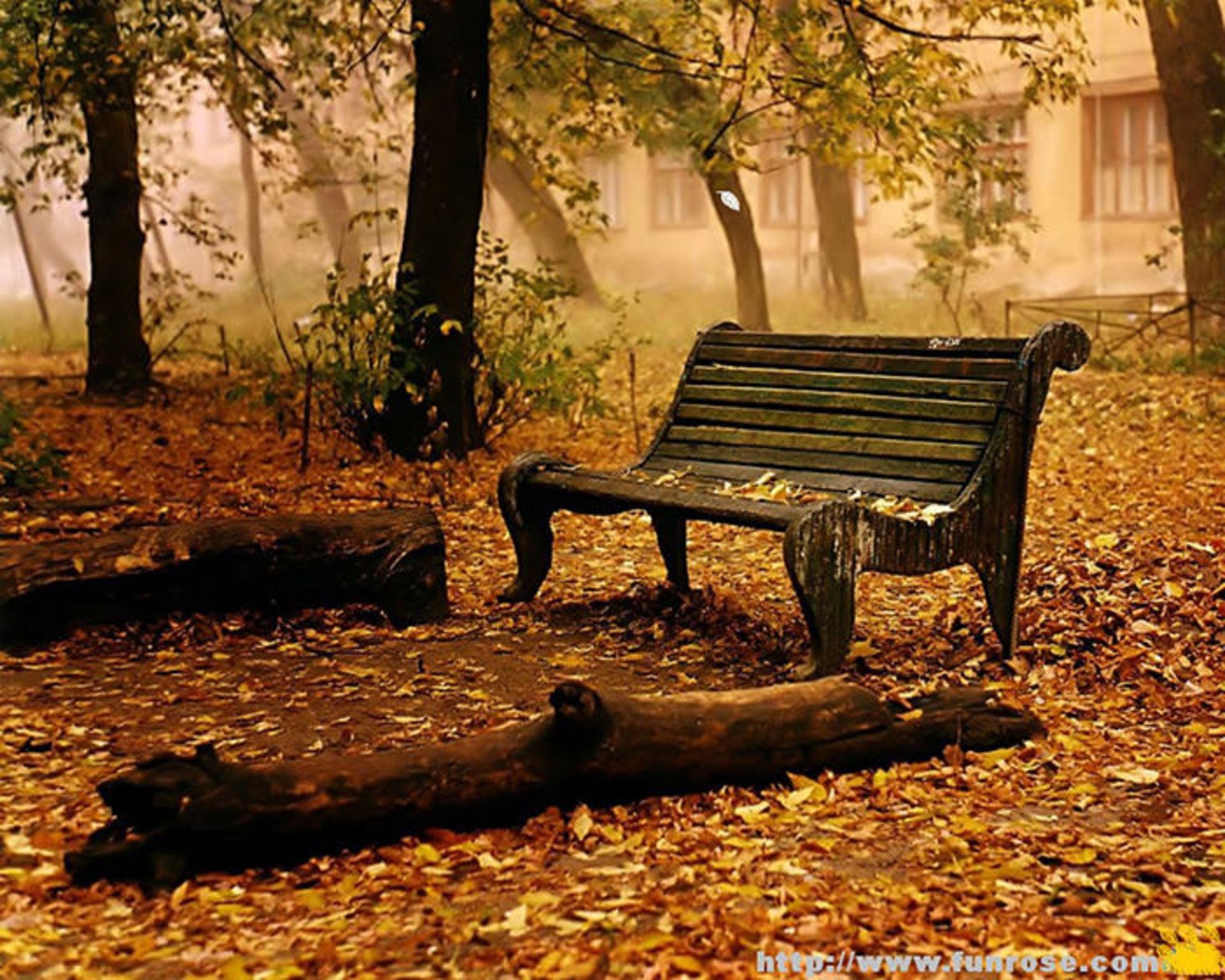 وداع با پاییز