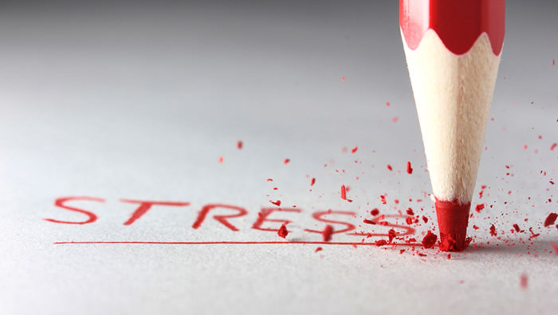 فهرست کارهایی که برای رسیدن به موفقیت نباید انجام دهید