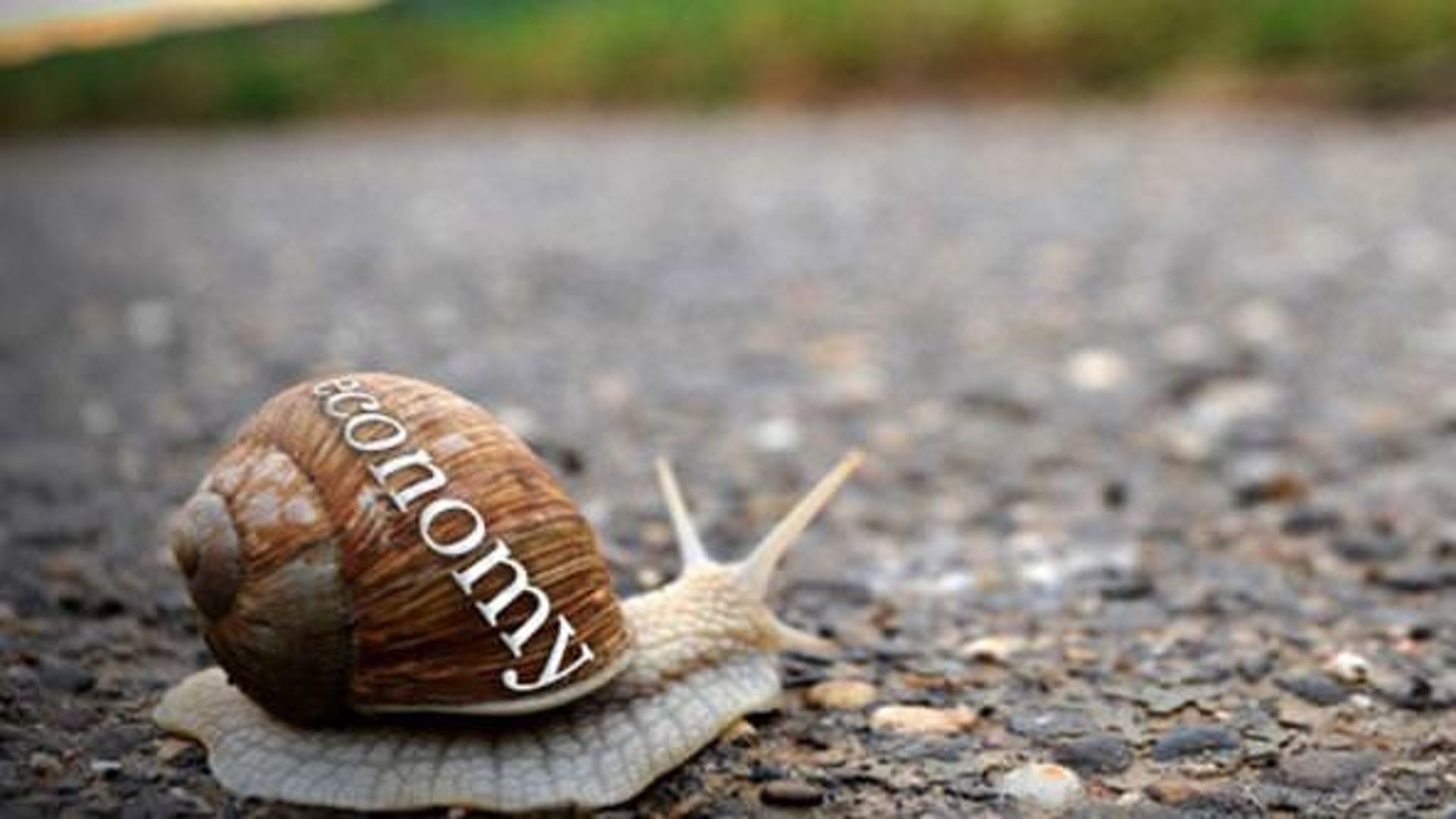 05062012 economy snail article