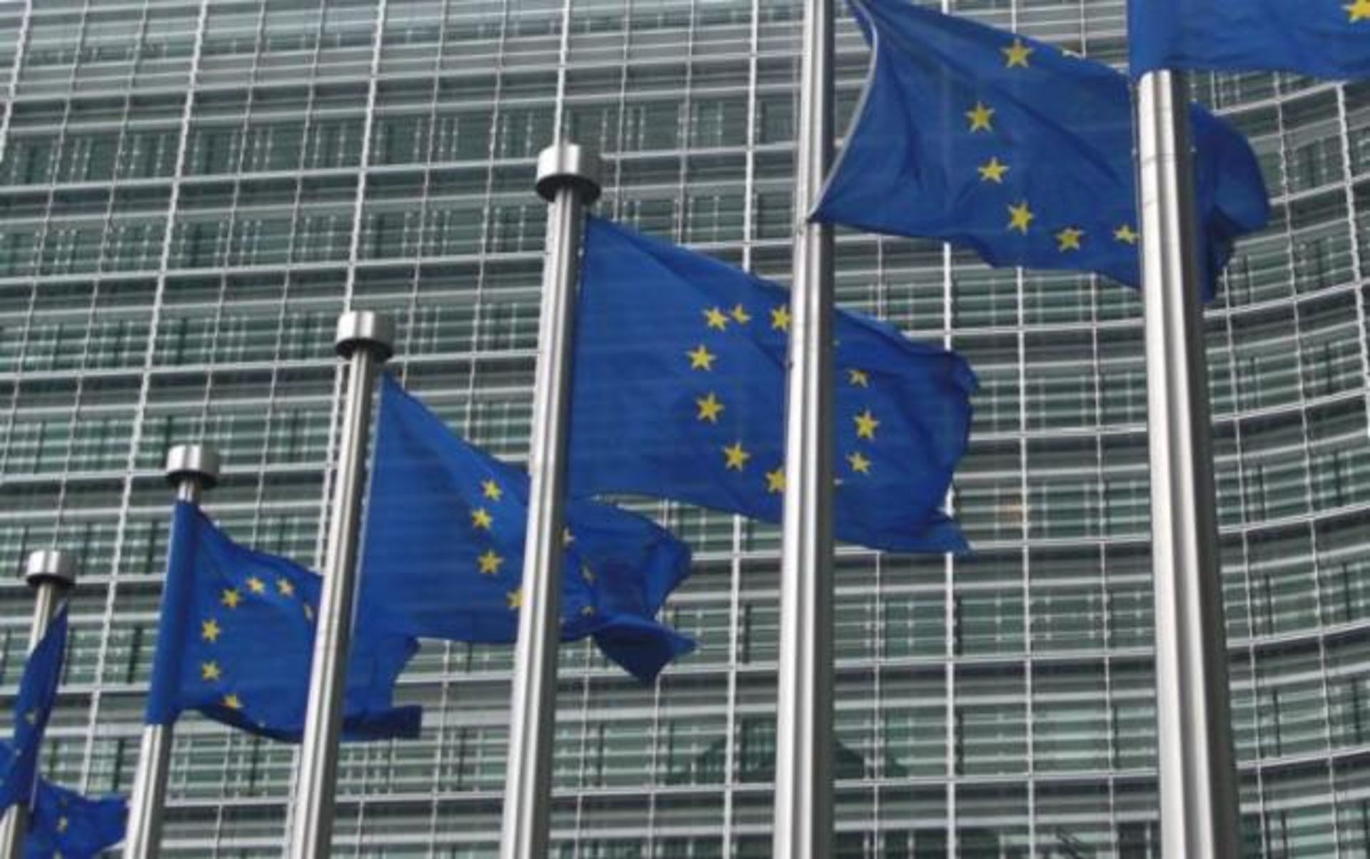 11-european-union-flags