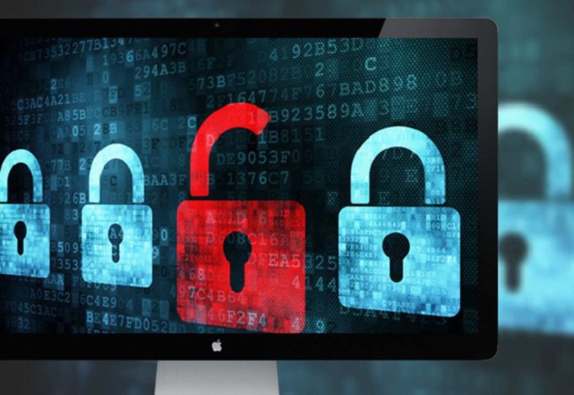 3-The-White-Hat-Hacker-Bundle