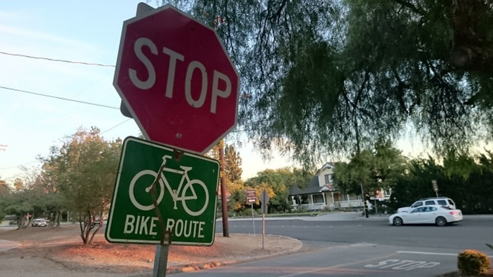 6-sony-xperia-z3-compact-camera-sample-8-of-9