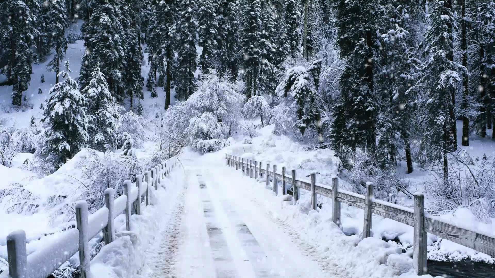 مناظر زیبای زمستانی