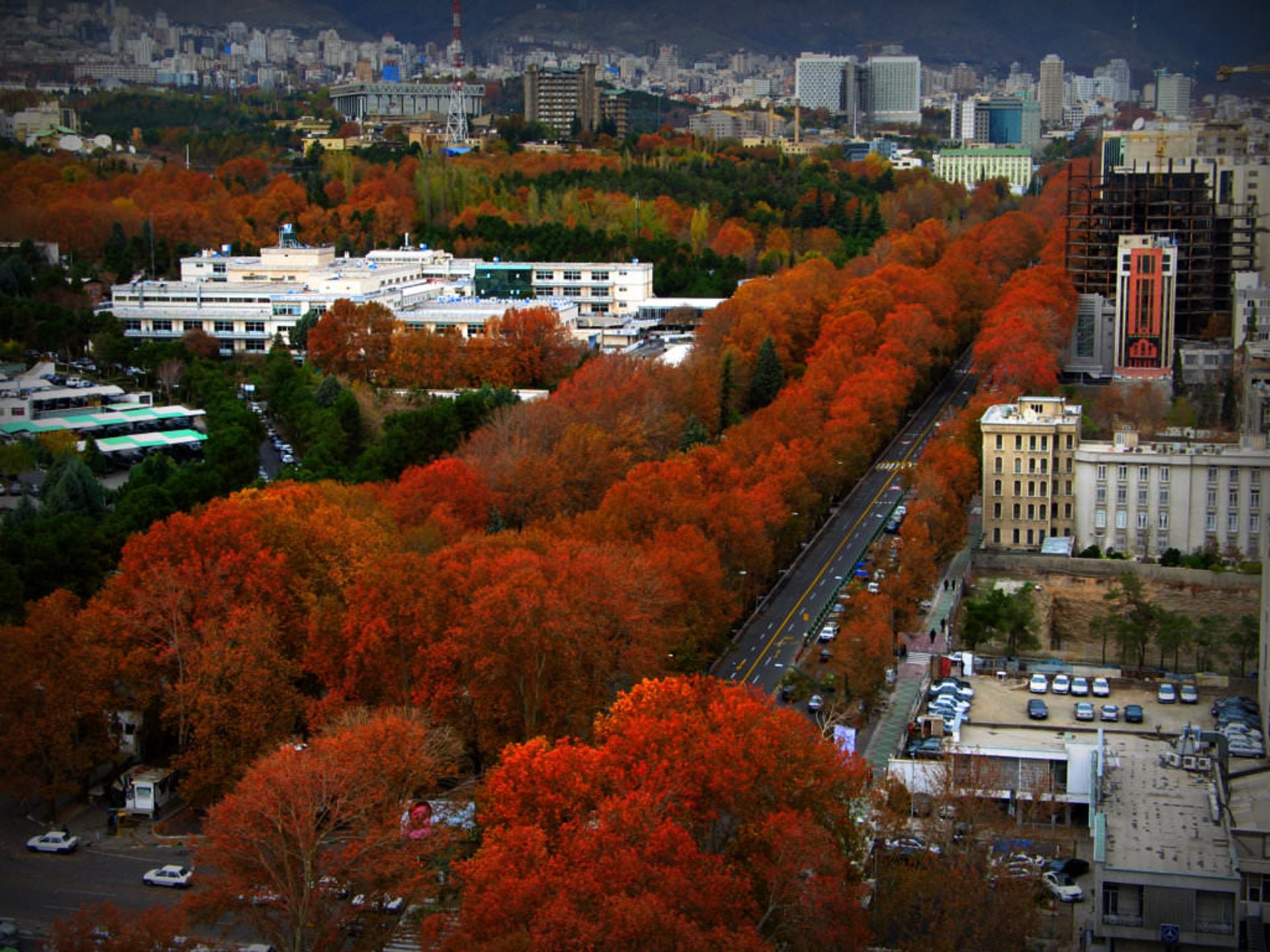 خیابان ولیعصر