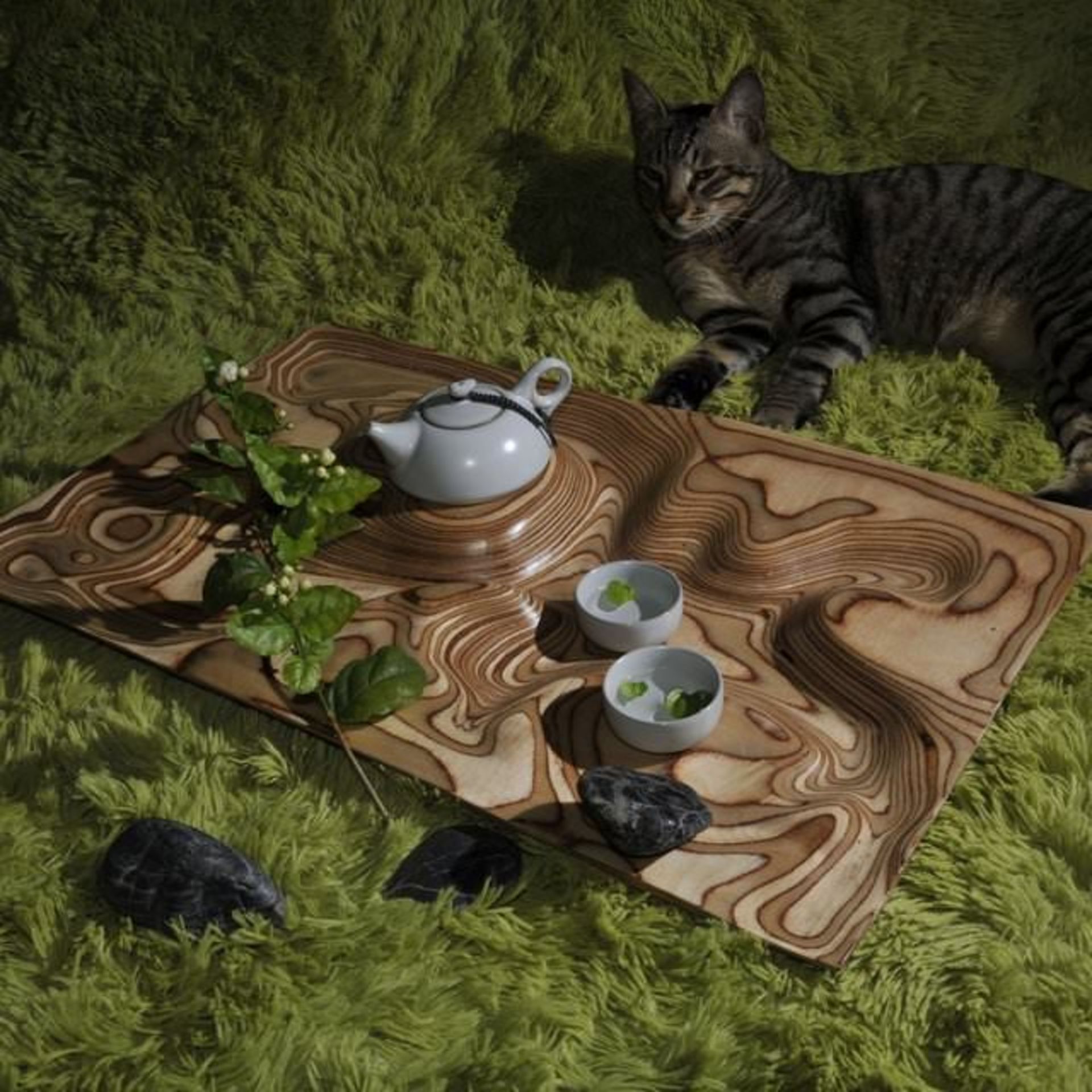 سینی کانفولوئنس