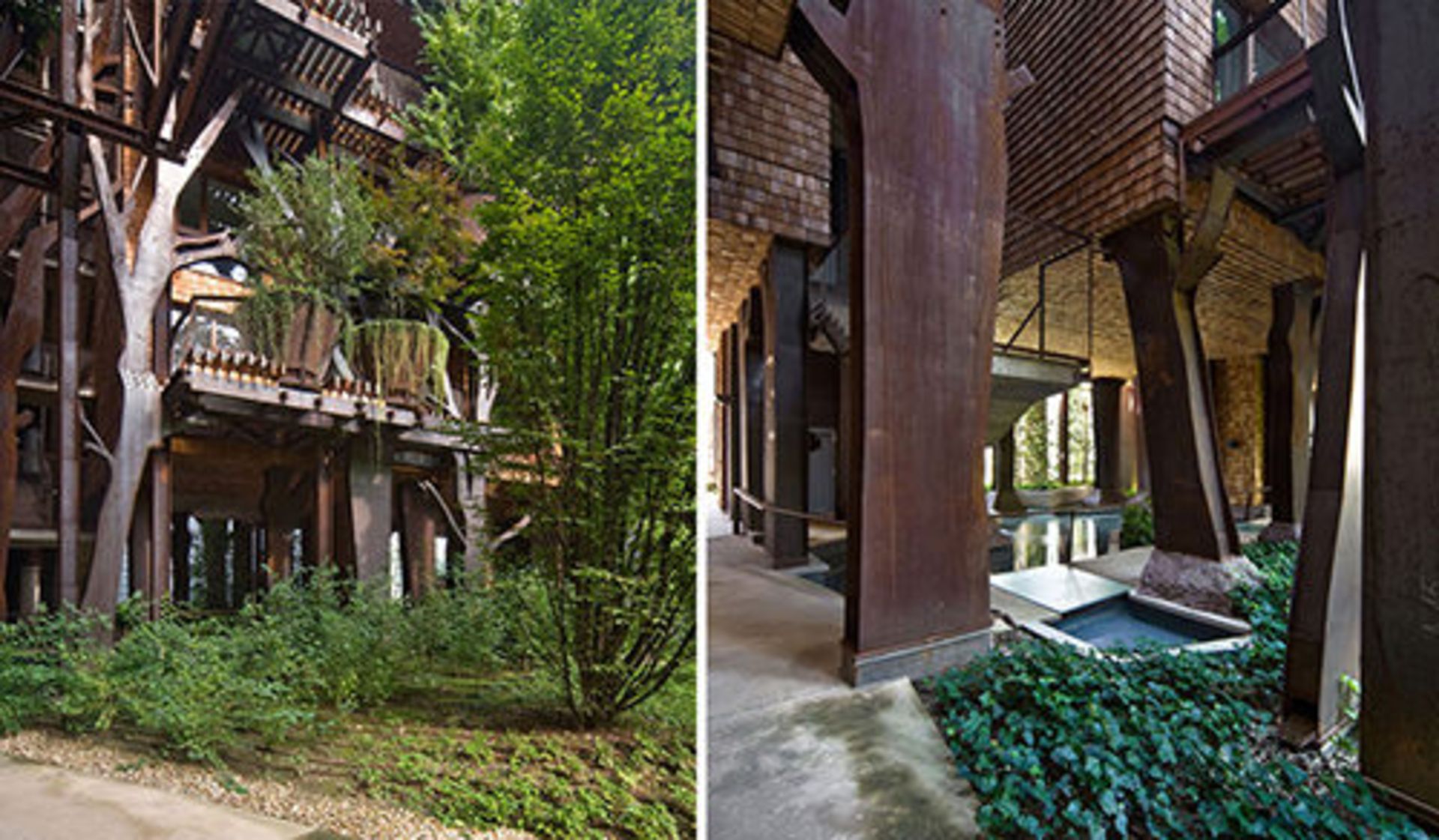 استفاده از ۱۵۰ درخت برای کاهش آلودگی صوتی و محیطی