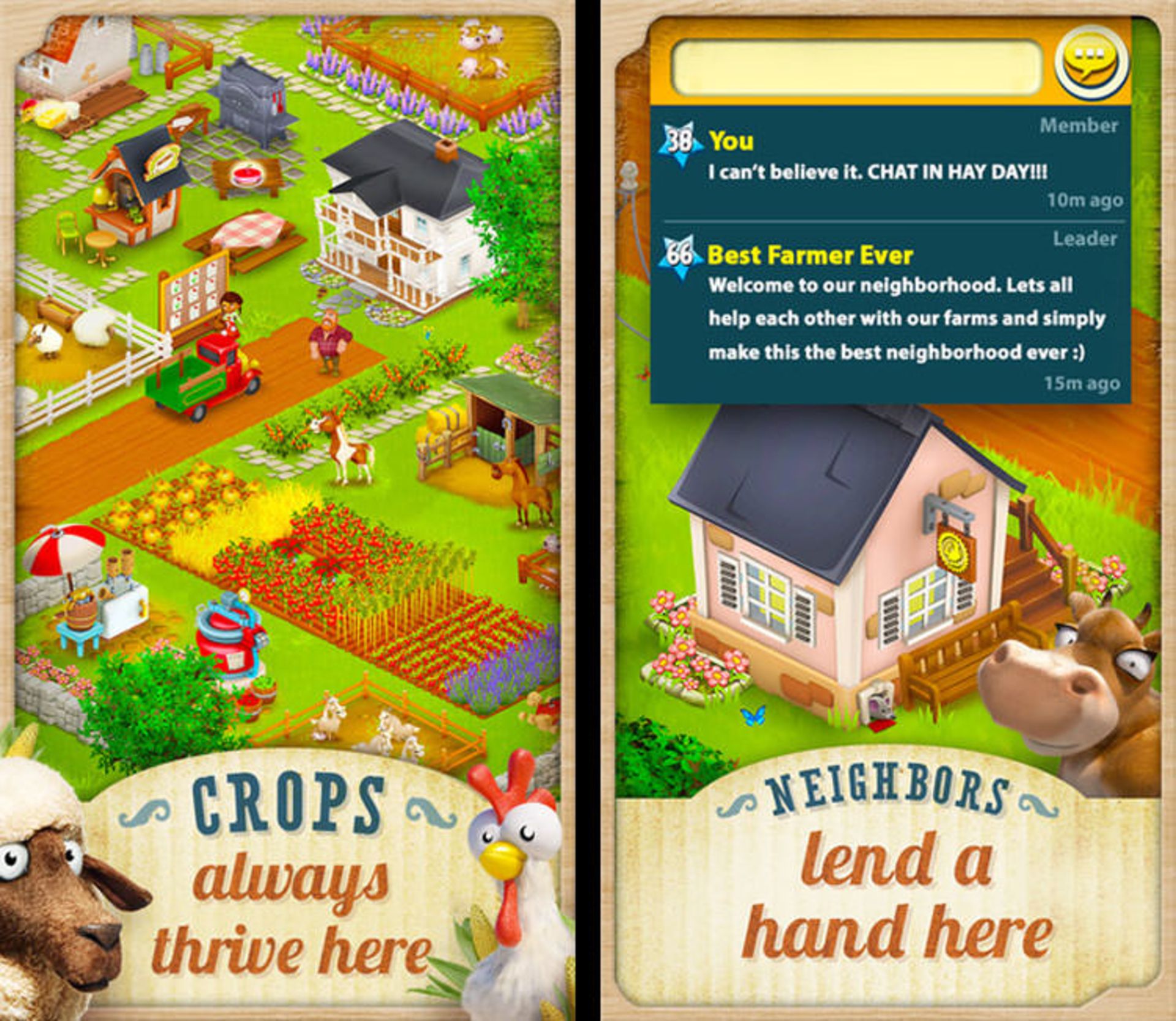 hayday2