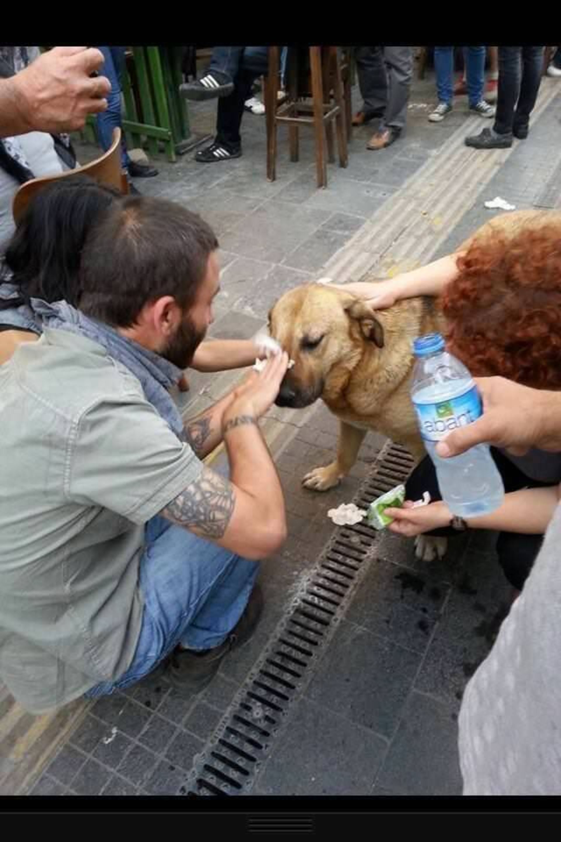 نگاهی به احساسات انسانی و خیرخواهانه در گوشه و کنار جهان