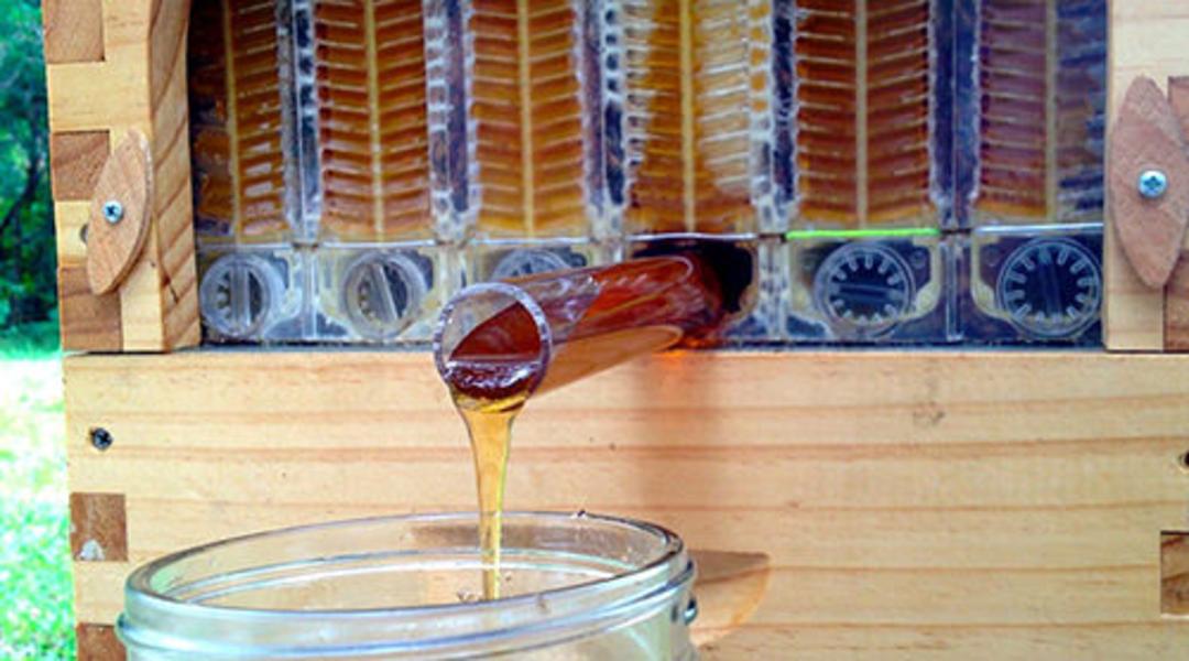 کندوی عسل مدرن