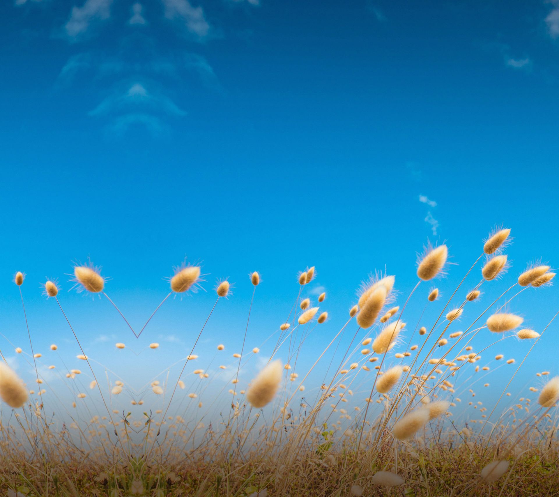 Fourteenth-HTC-One-M9-wallpaper