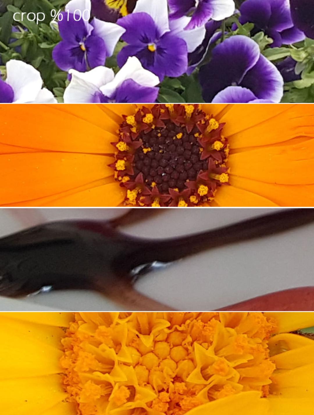 بررسی گلکسی اس 6 سامسونگ (Galaxy S6)