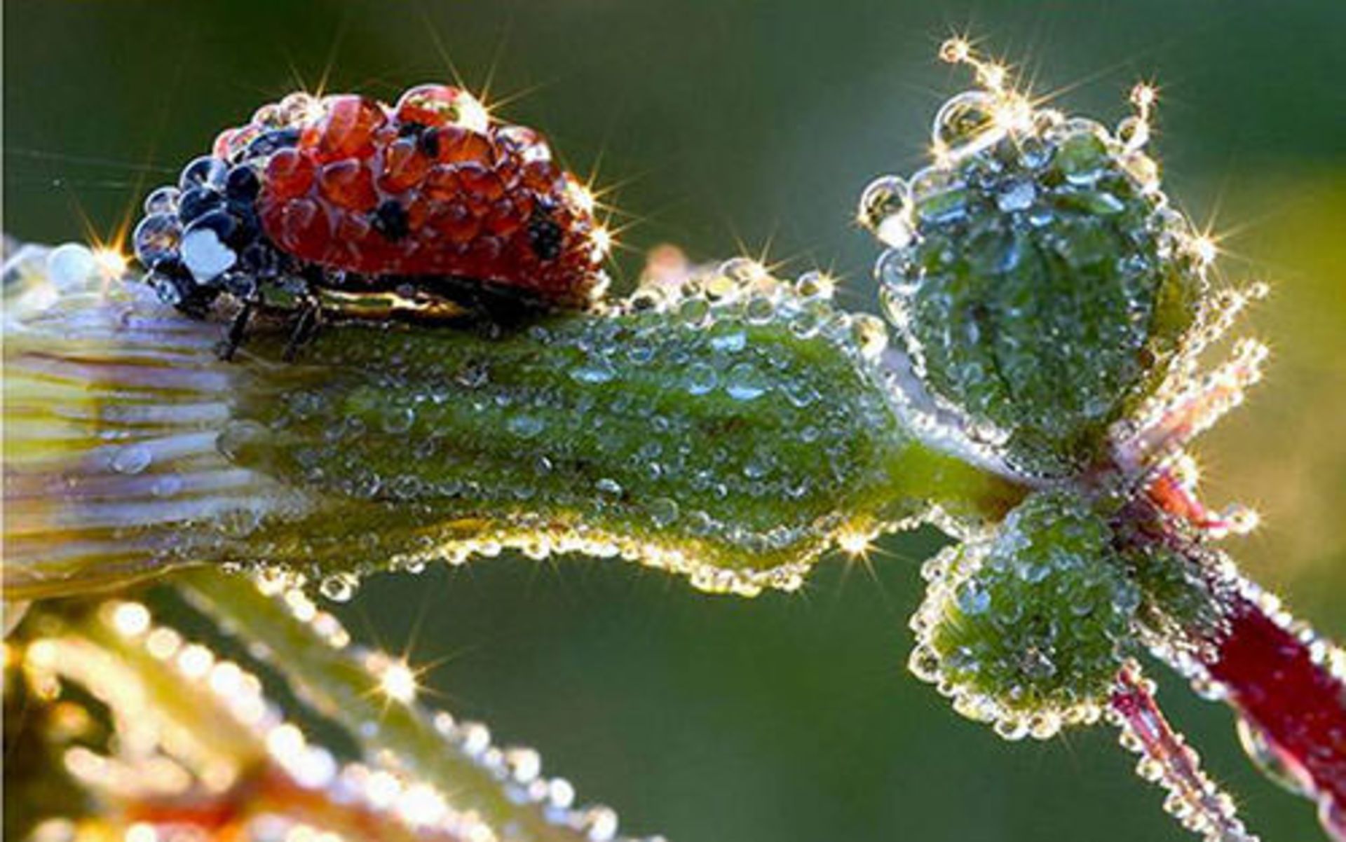 با تصاویری زیبا به استقبال بهار می‌رویم