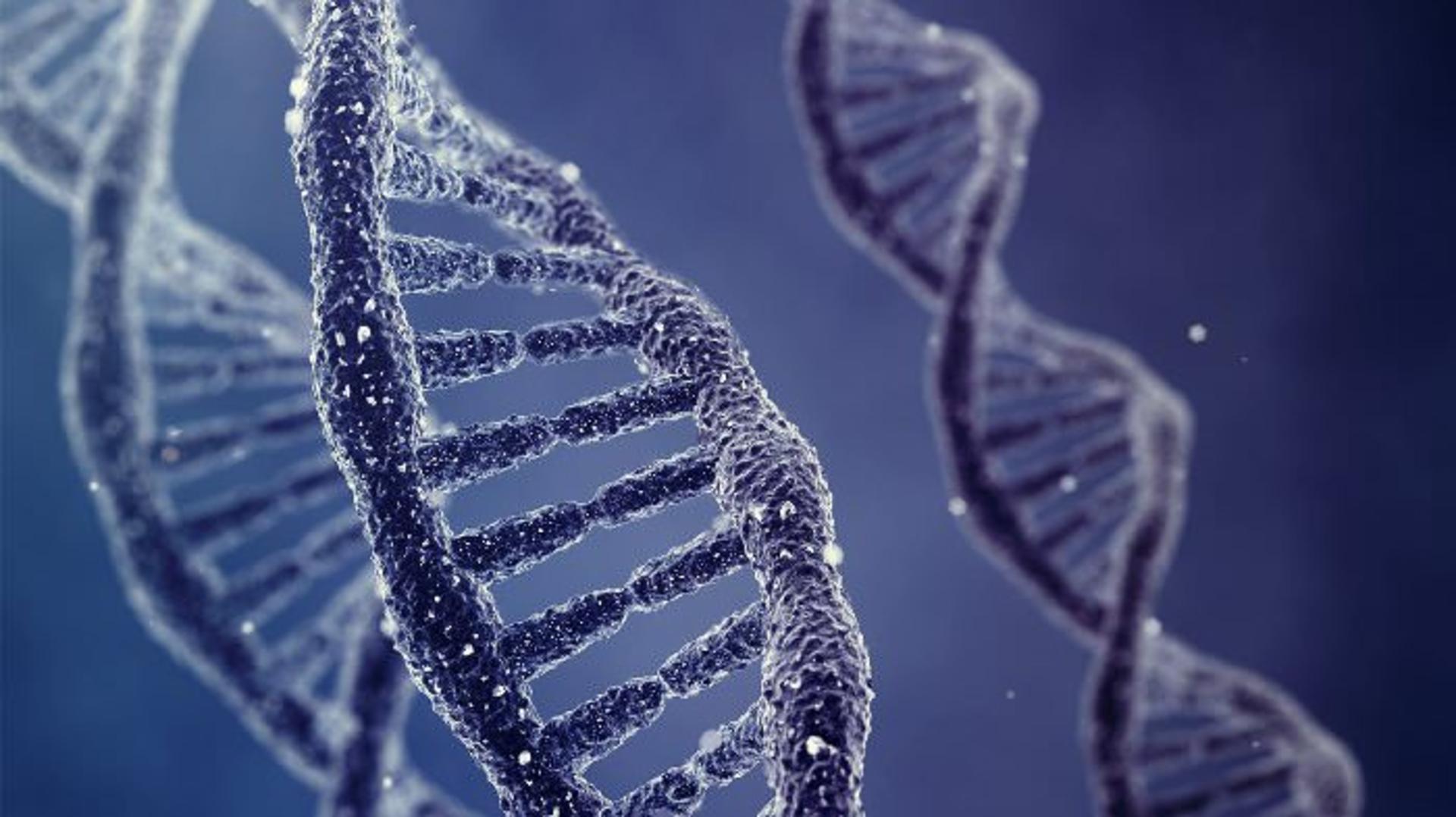 dna