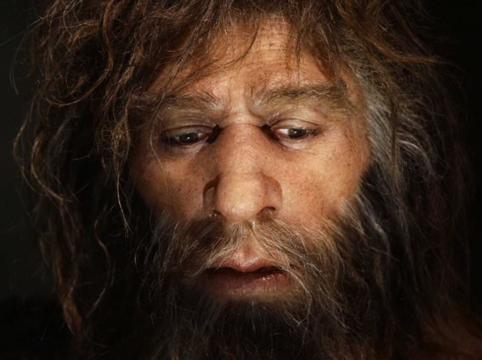 neanderthal