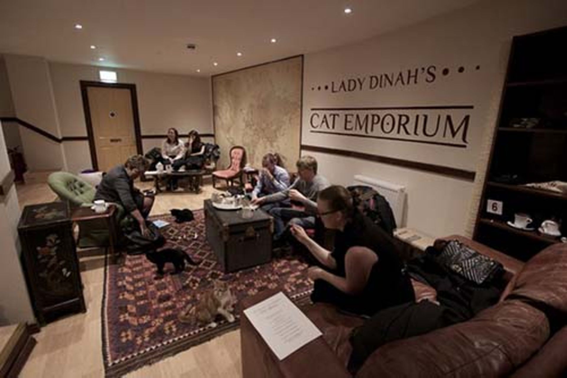 کافه حیوانات