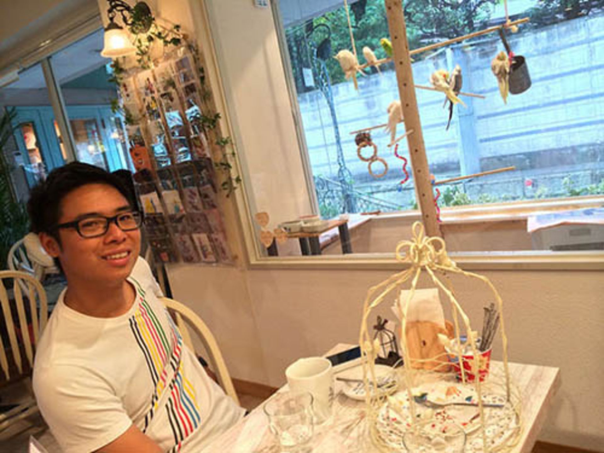 کافه حیوانات