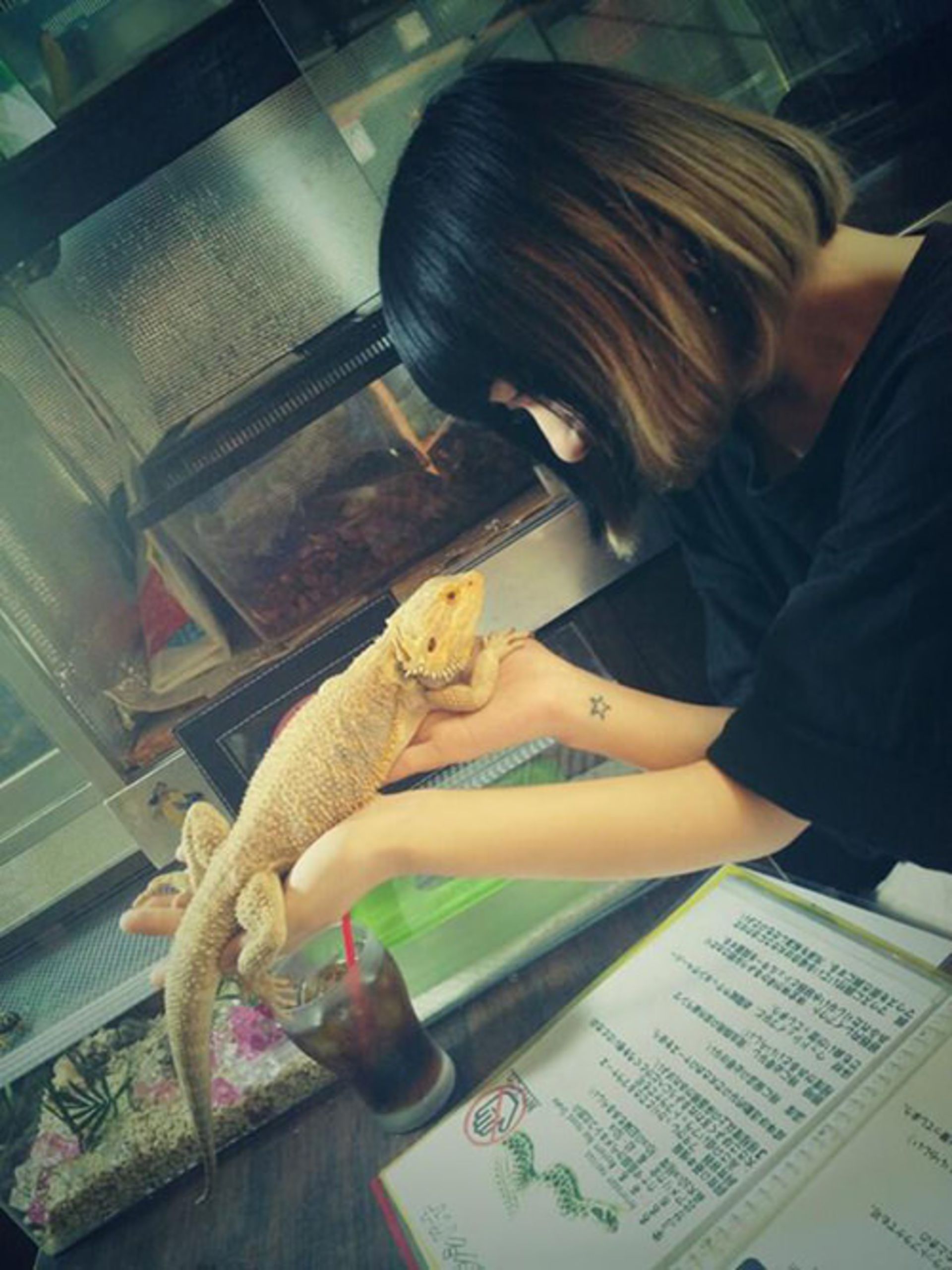 کافه حیوانات