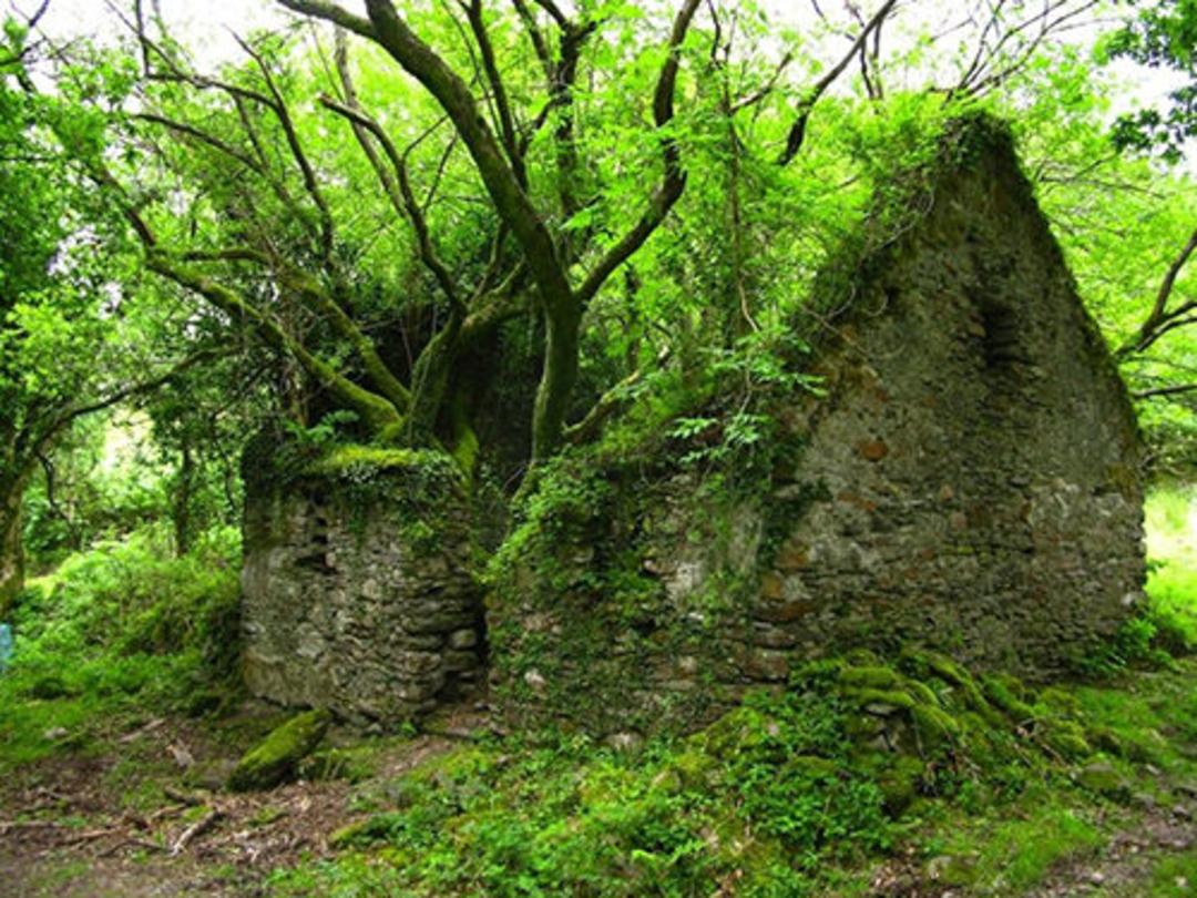جادوی مناطق متروکه