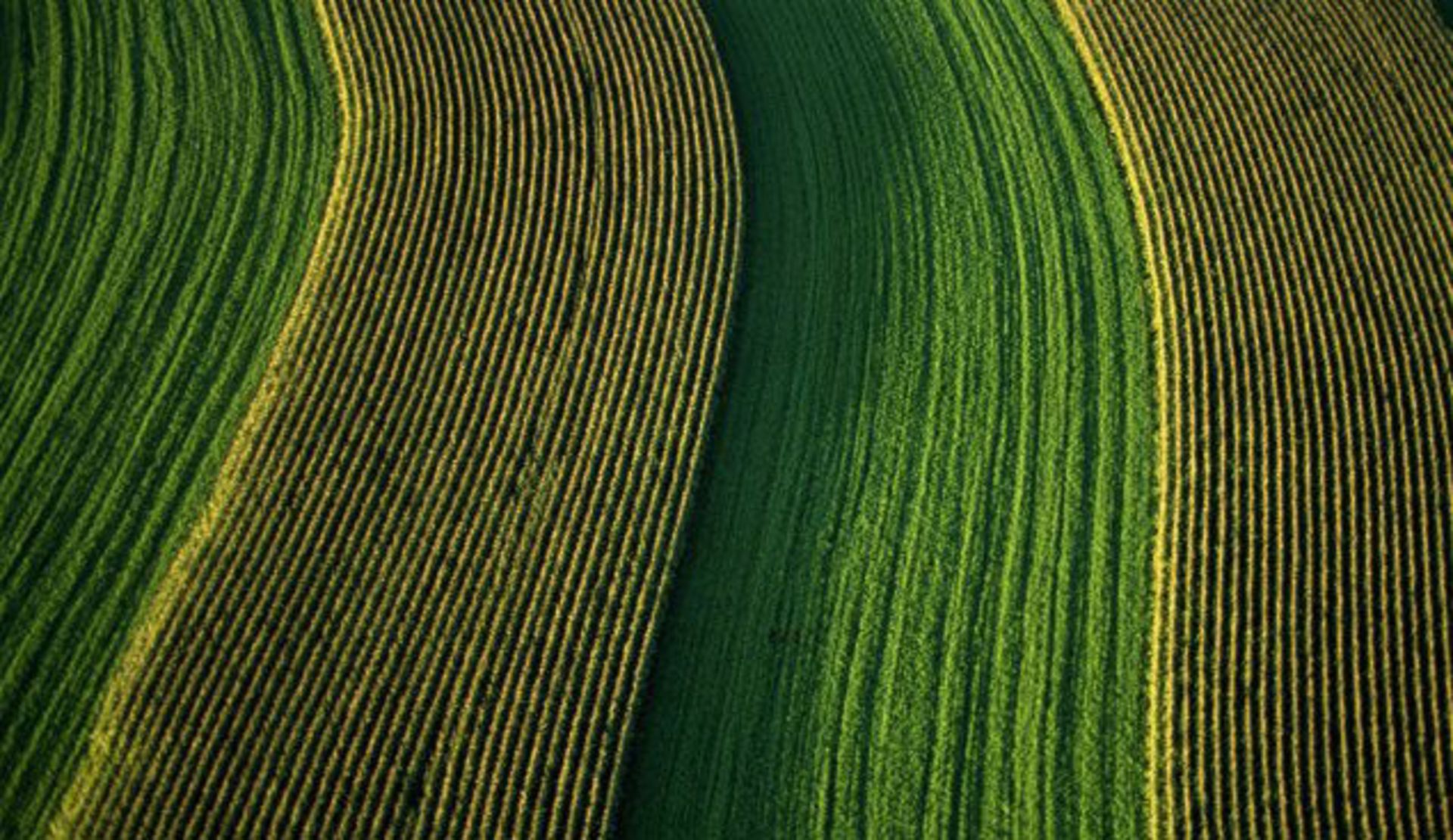 نرم افزار‌های کشاورزی