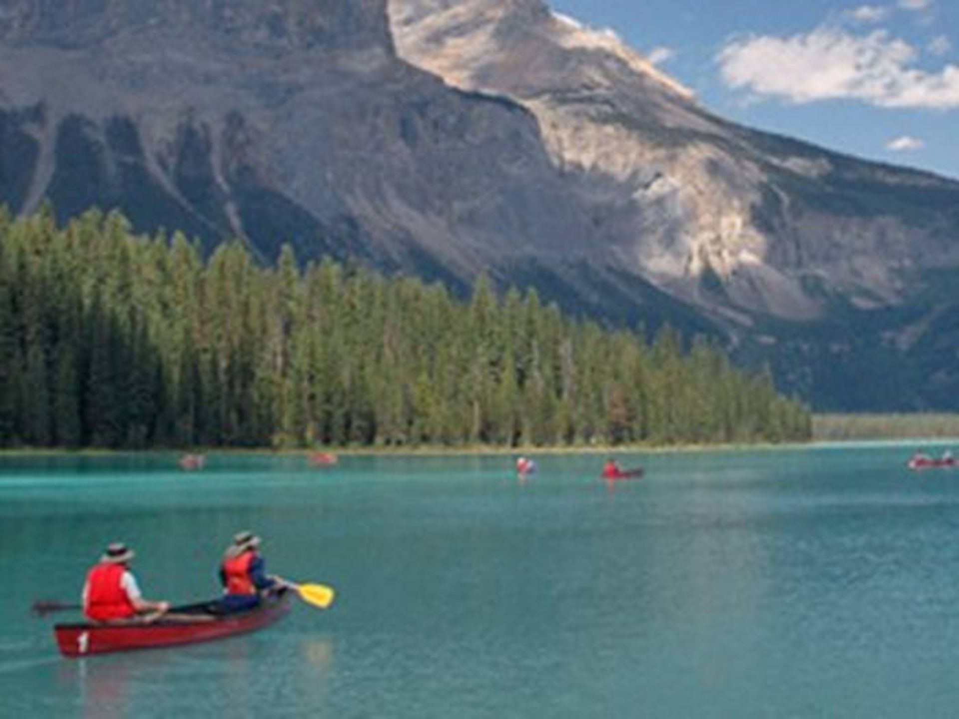 7-automated-promotional-offers