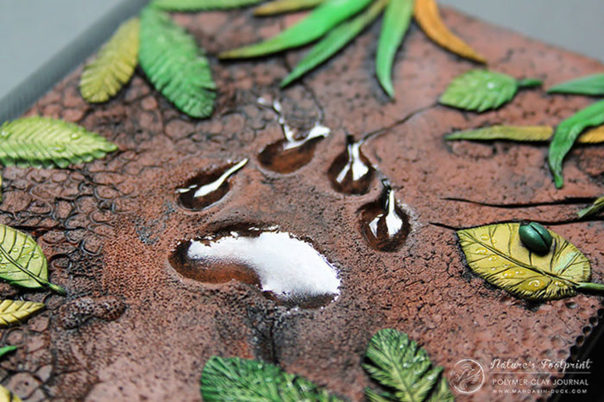 جلدهای رویایی برای کتاب‌های فانتزی