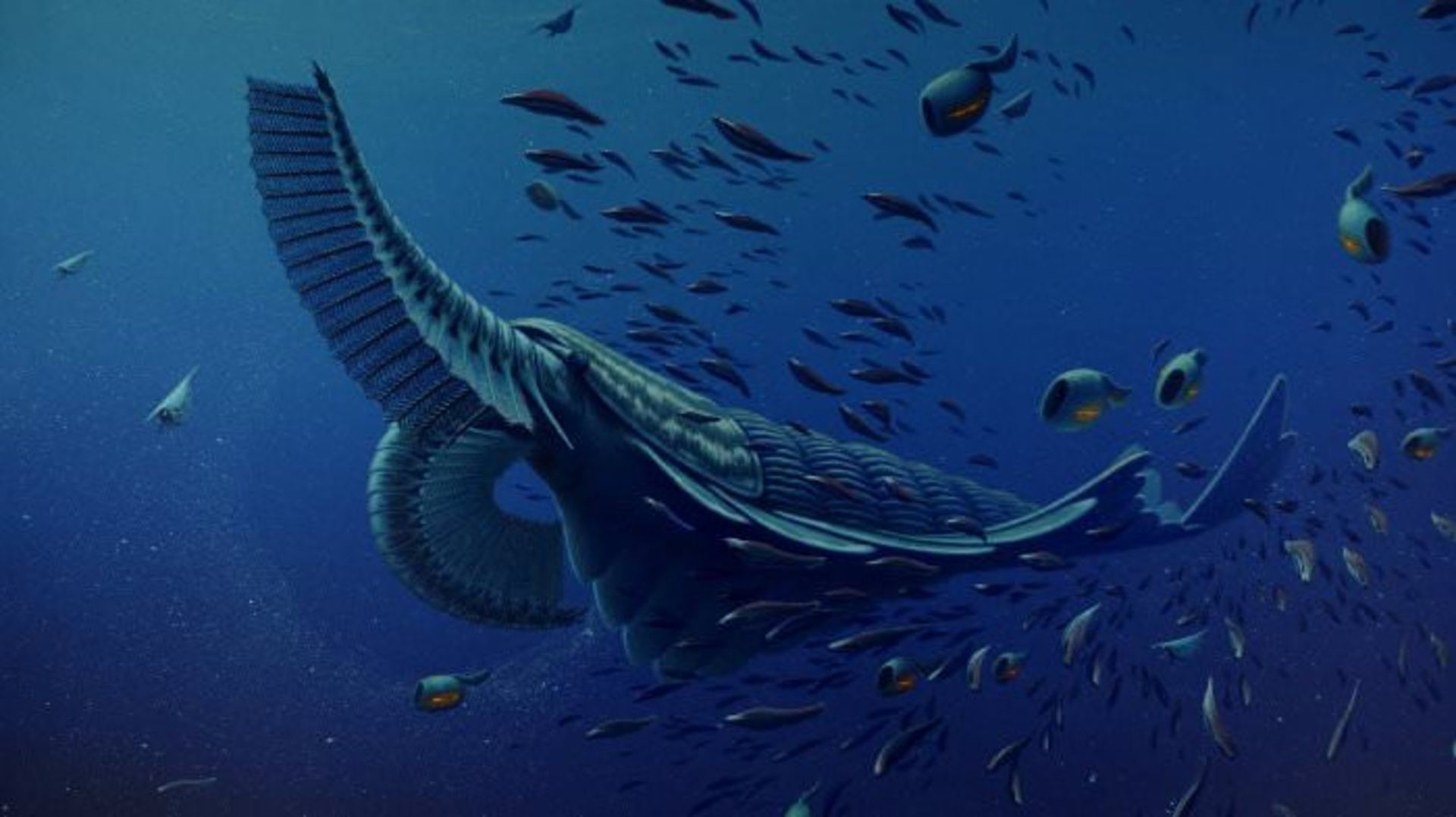 cambrian creatures