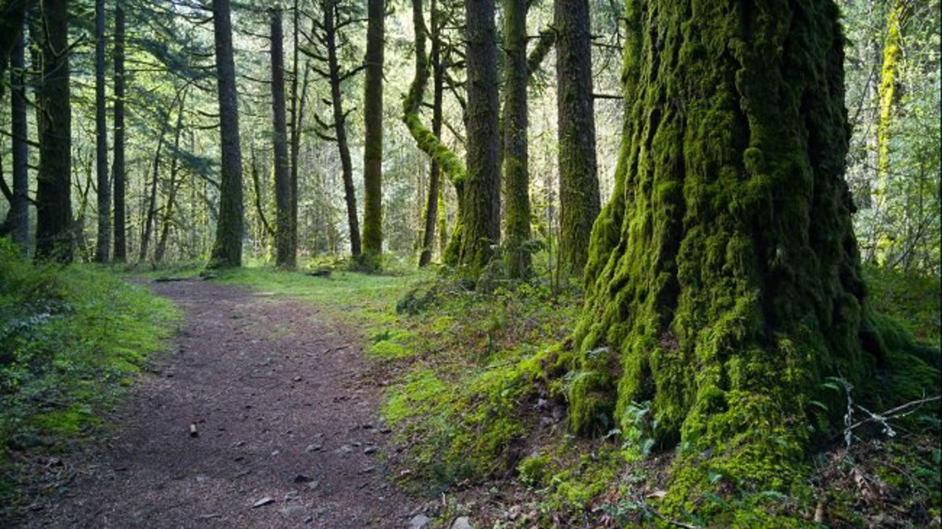 بررسی تلفن هوشمند Xperia M2 Aqua سونی