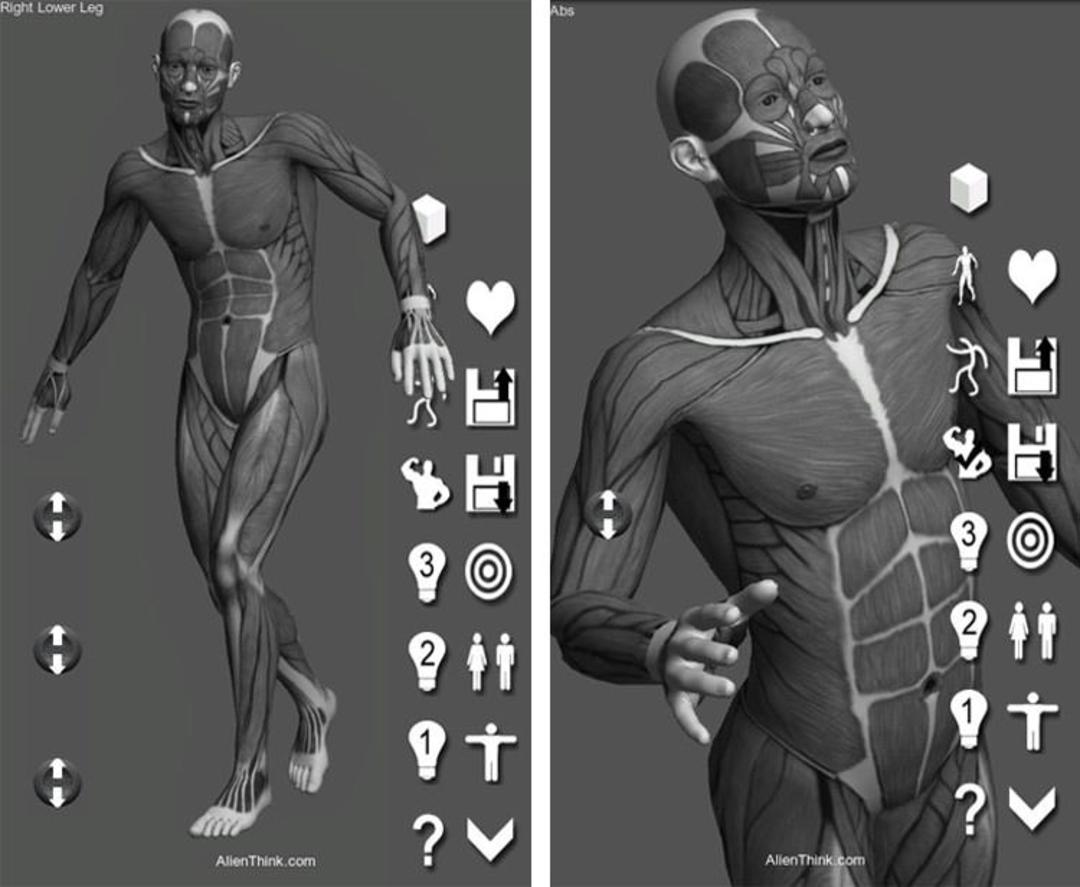 Pose-Tool-3D