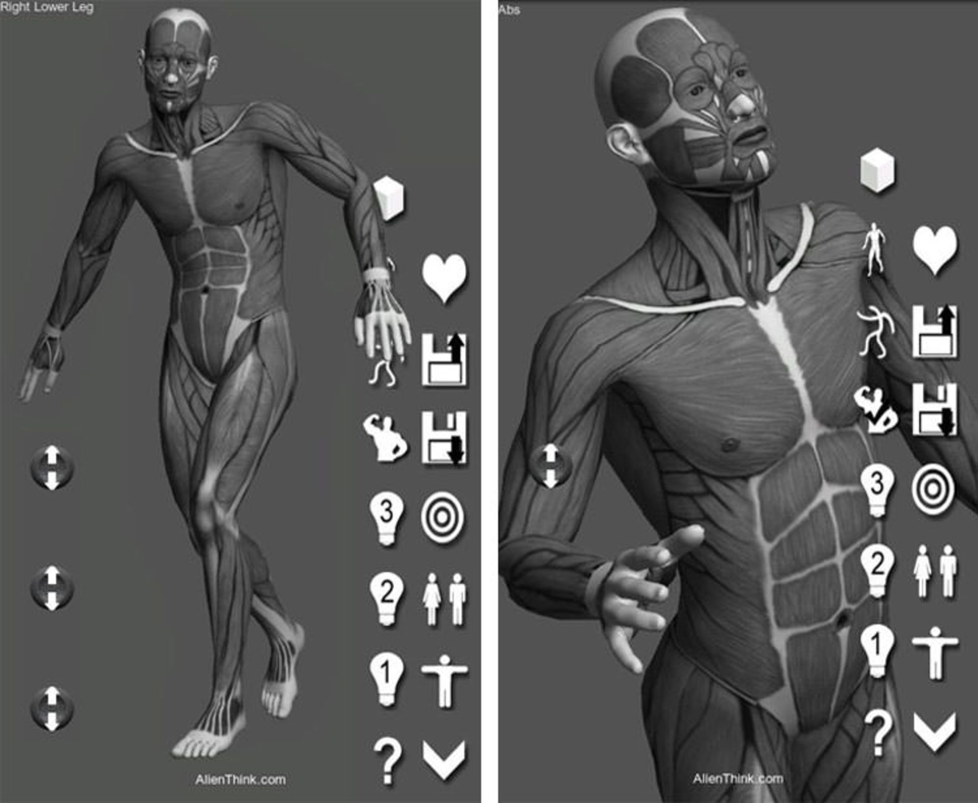 Pose-Tool-3D