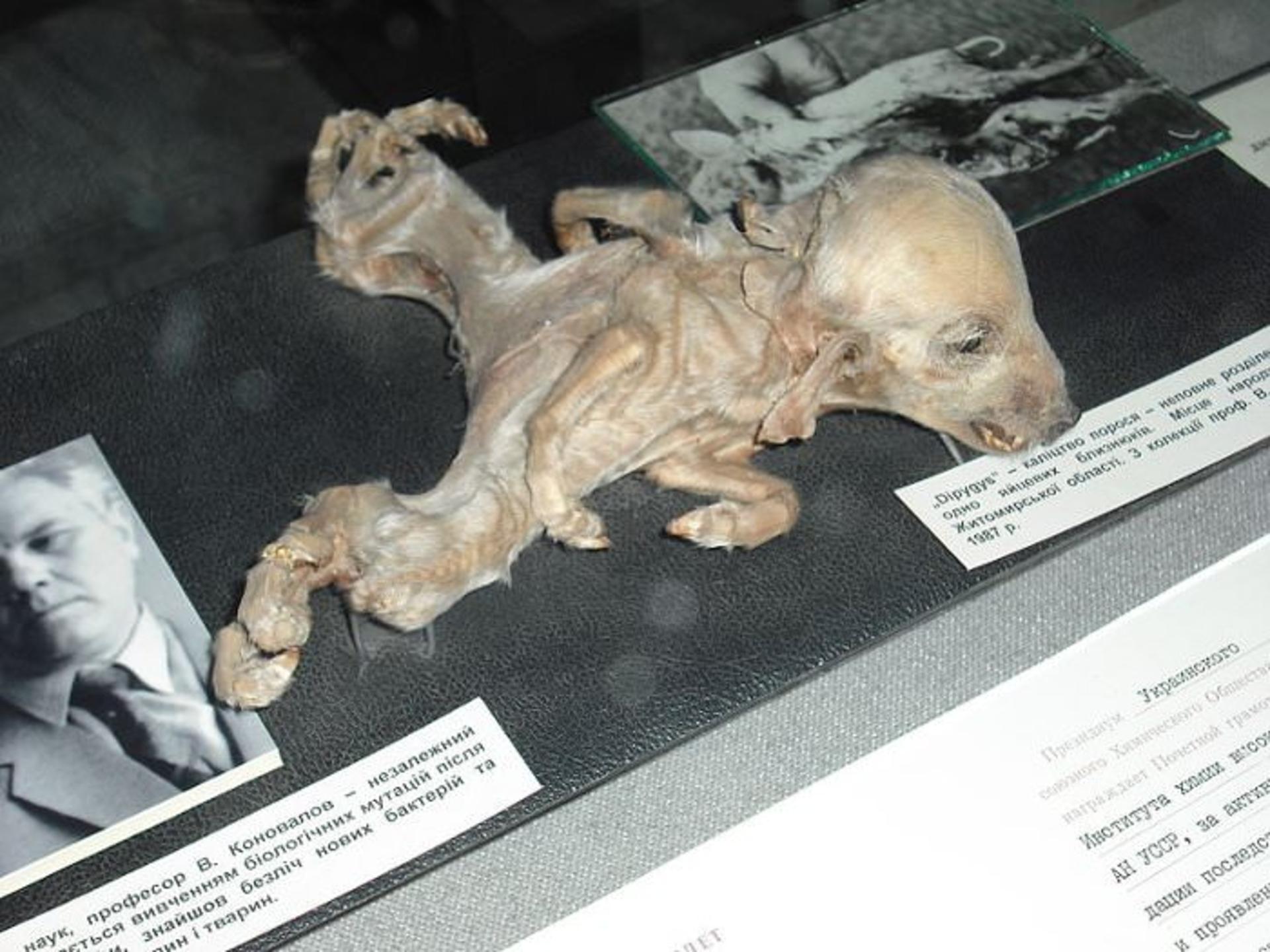 Kiev-UkrainianNationalChernobylMuseum