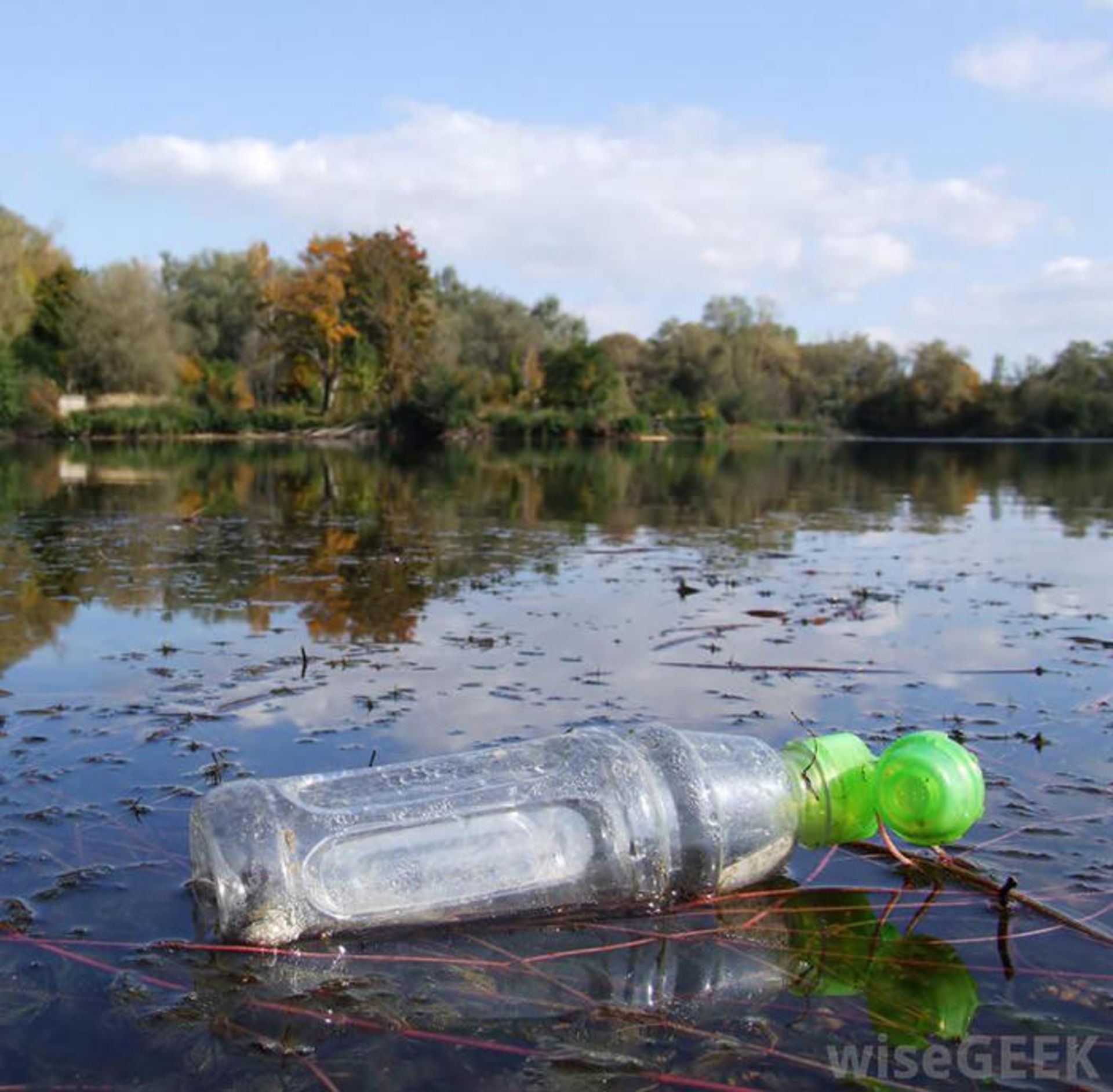 plastic-bottle-floating-in-a-lake