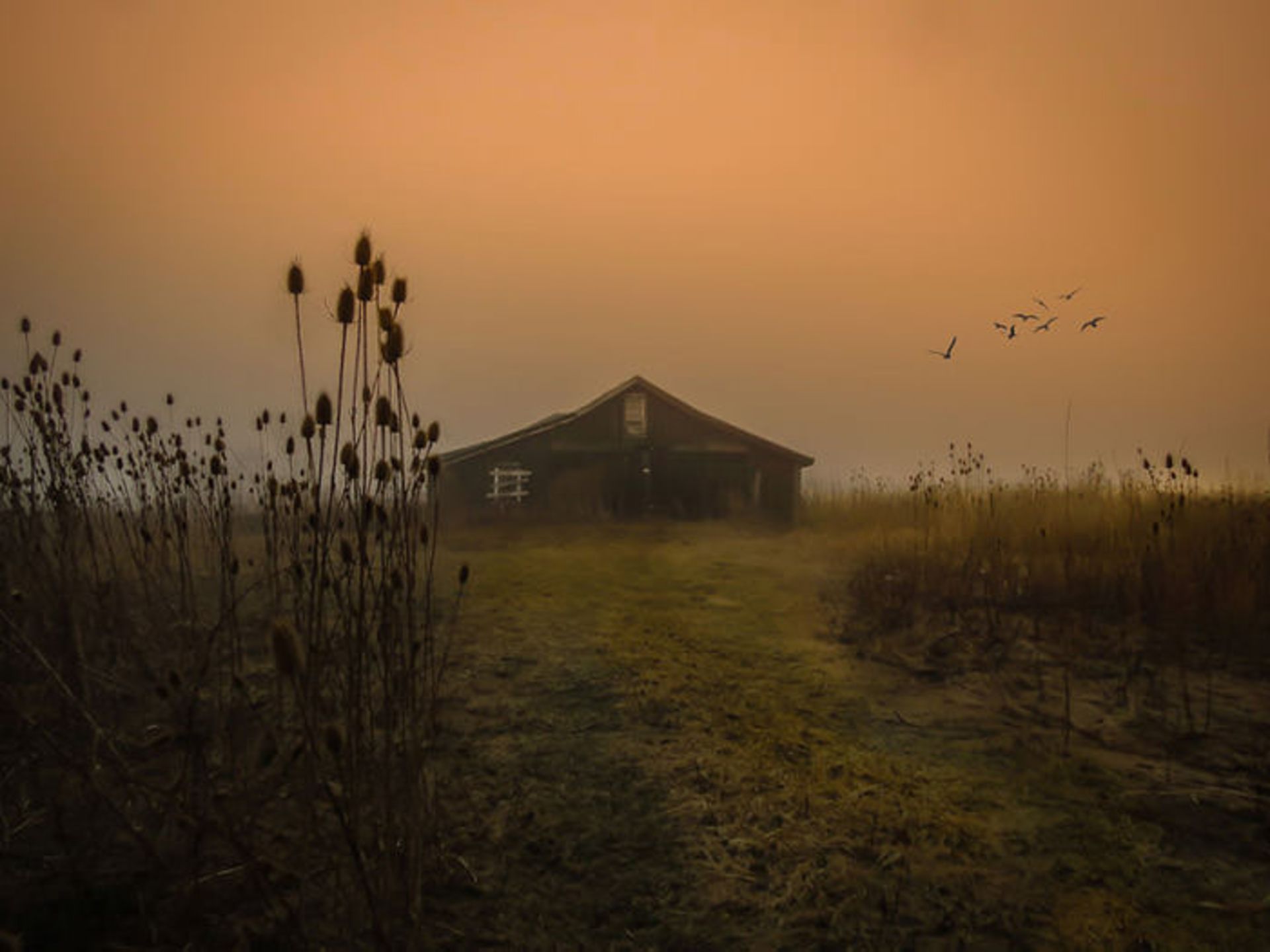 تصاویر خلق شده با دوربینی قدیمی