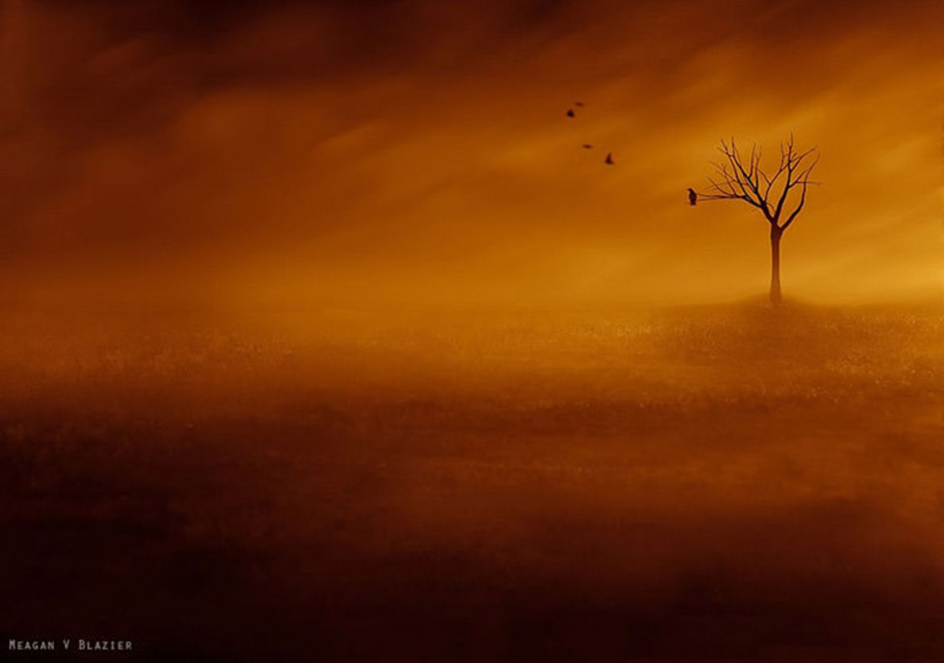 تصاویر خلق شده با دوربینی قدیمی