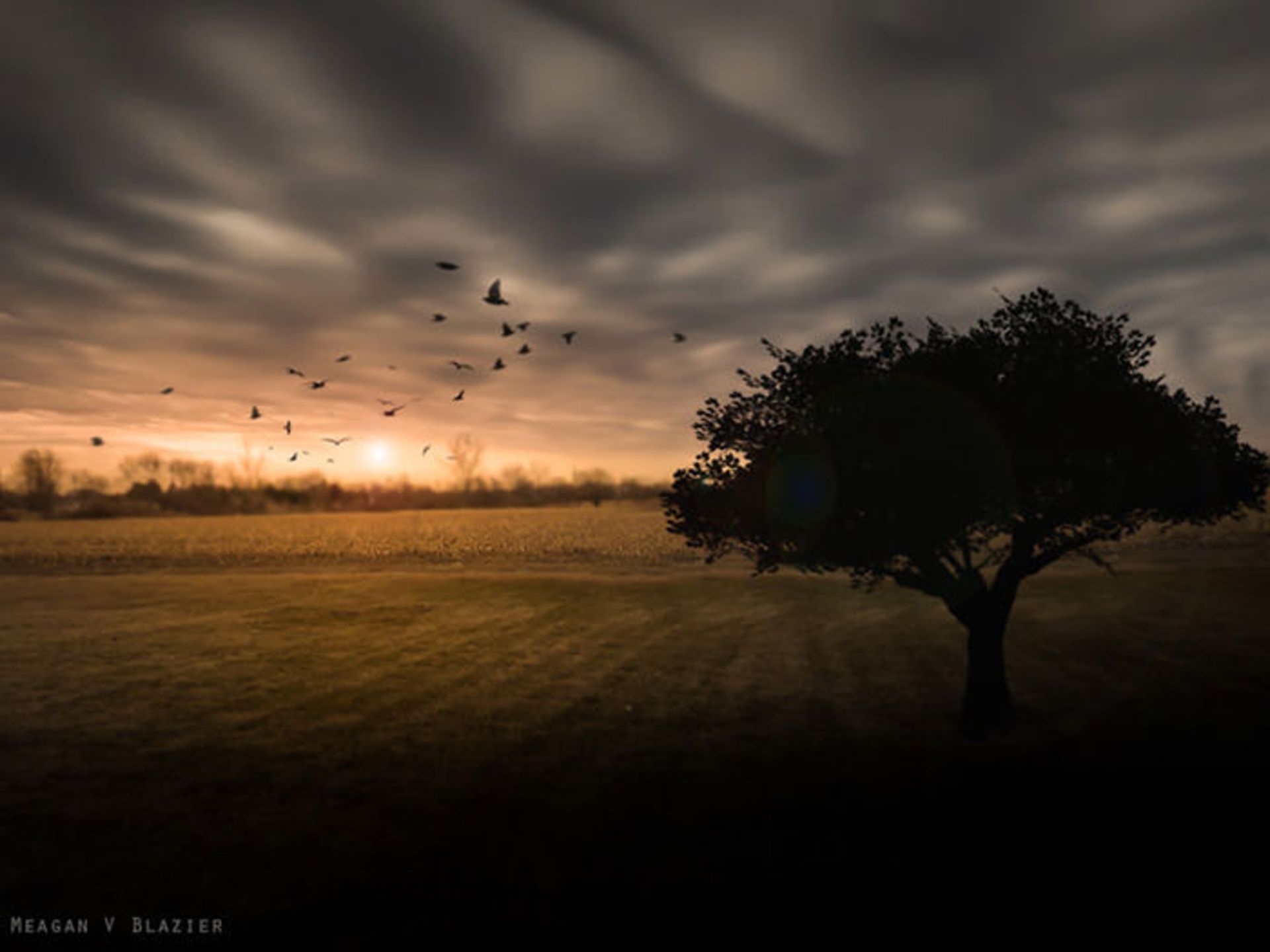 تصاویر خلق شده با دوربینی قدیمی