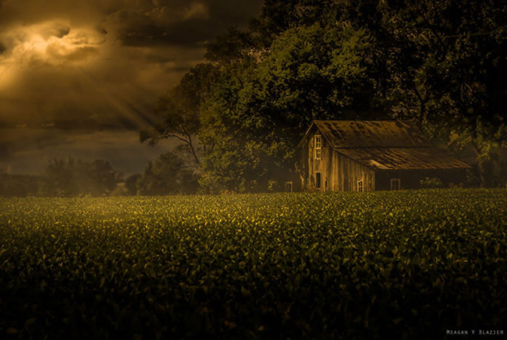 تصاویر خلق شده با دوربینی قدیمی